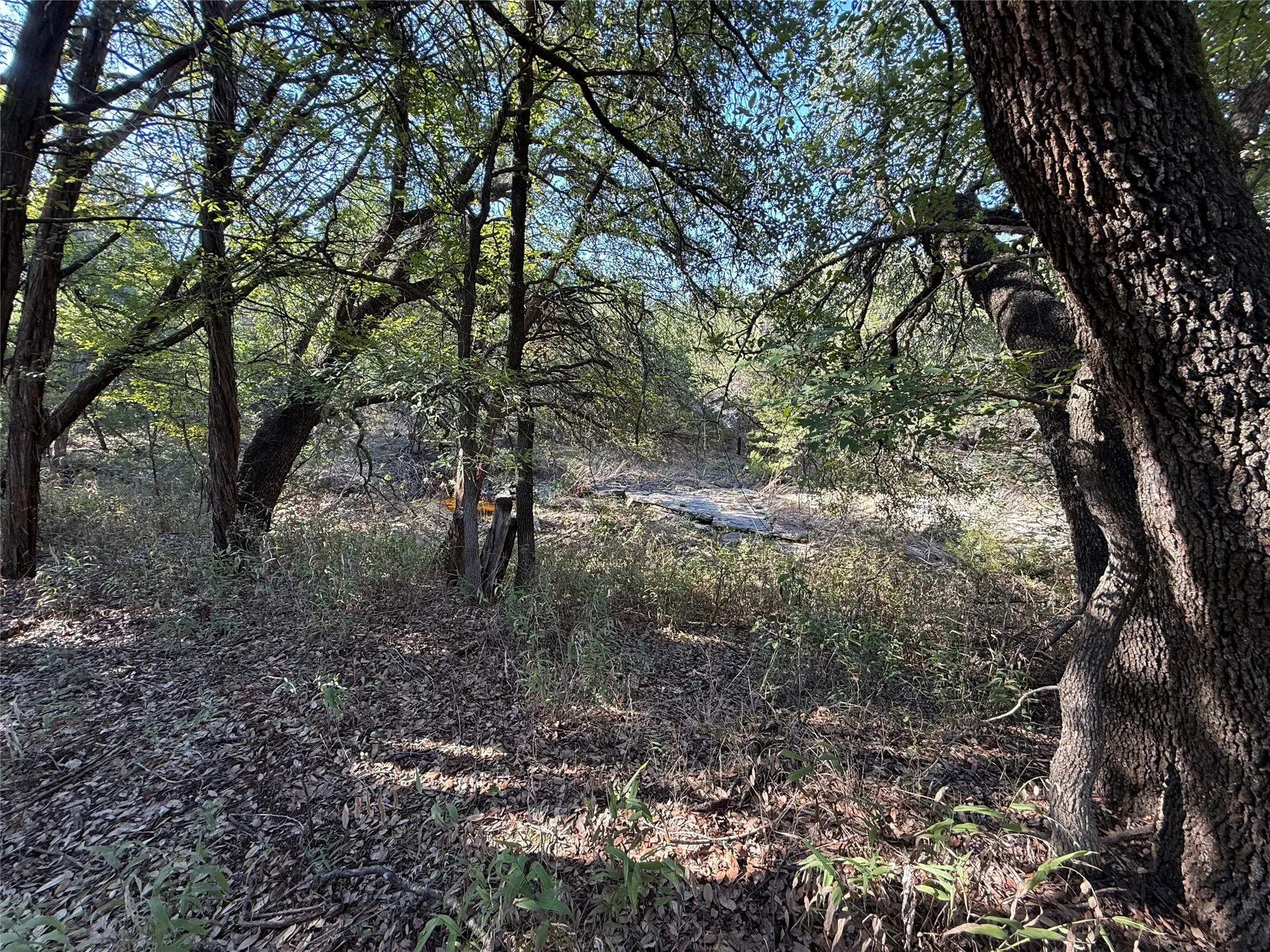 Wooded lot featuring mature trees, native vegetation, and natural terrain
