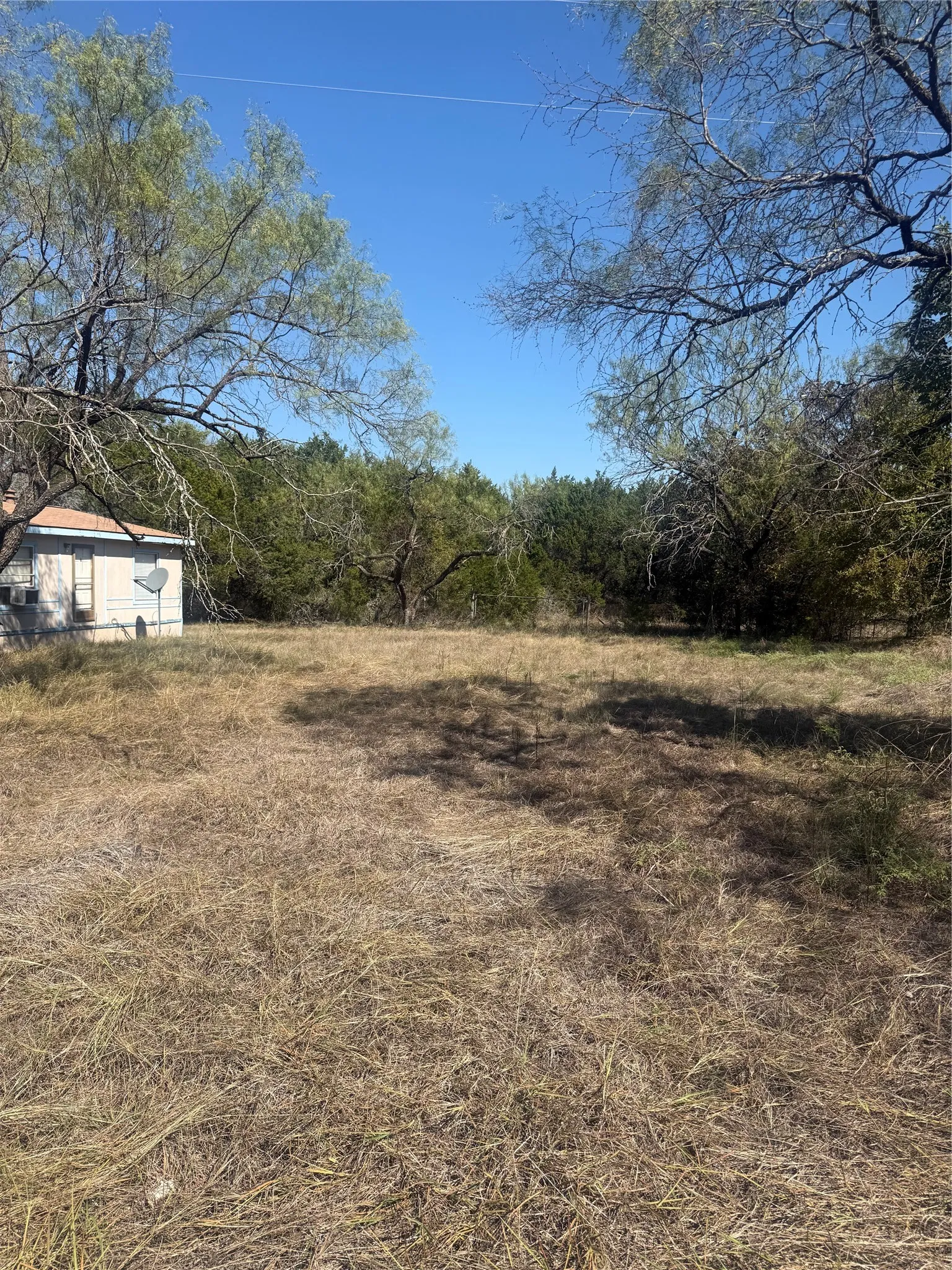 Expansive lot featuring mature trees and established natural landscaping