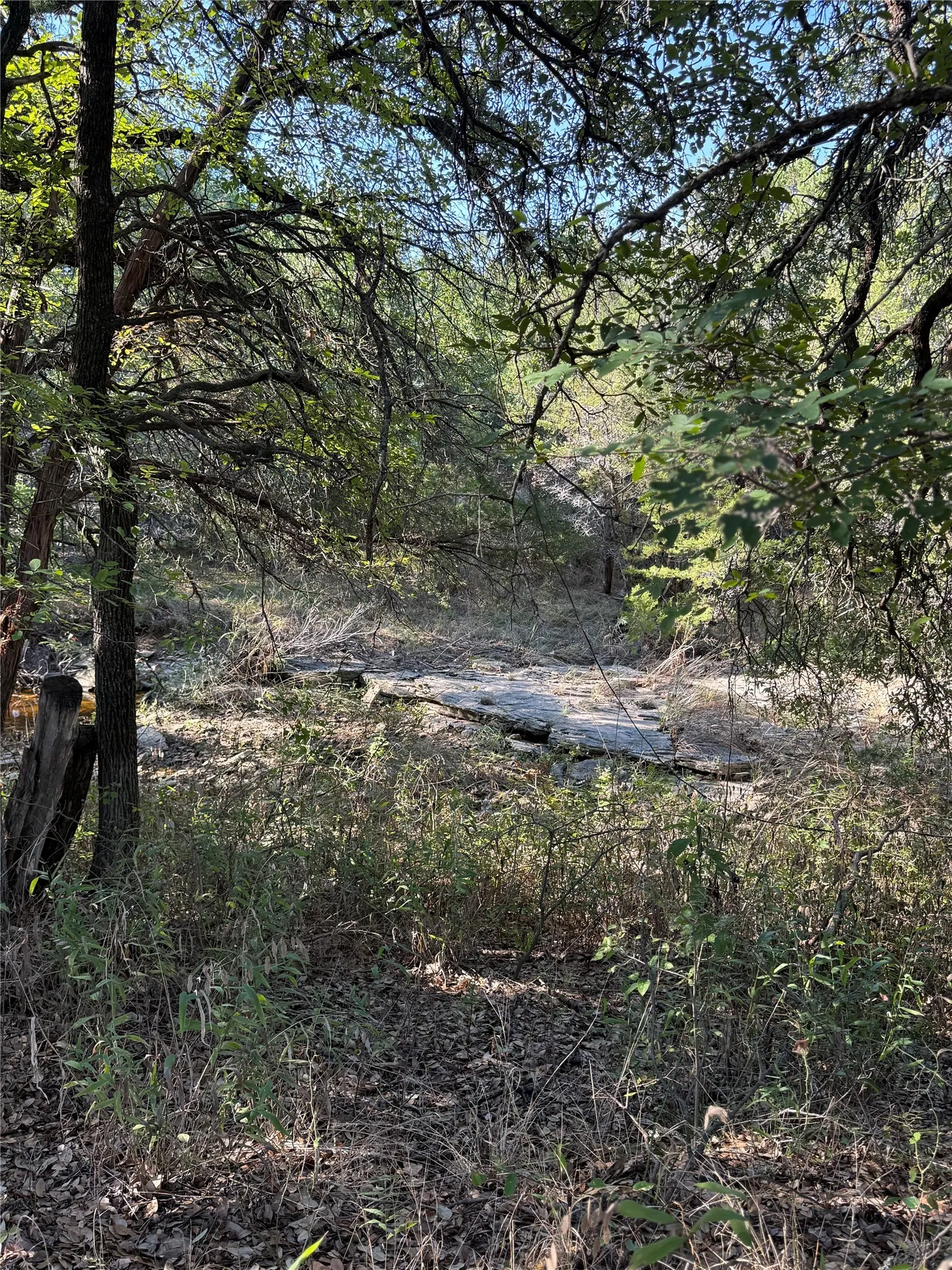 Natural wooded terrain featuring mature trees, native vegetation, and an exposed rock formation