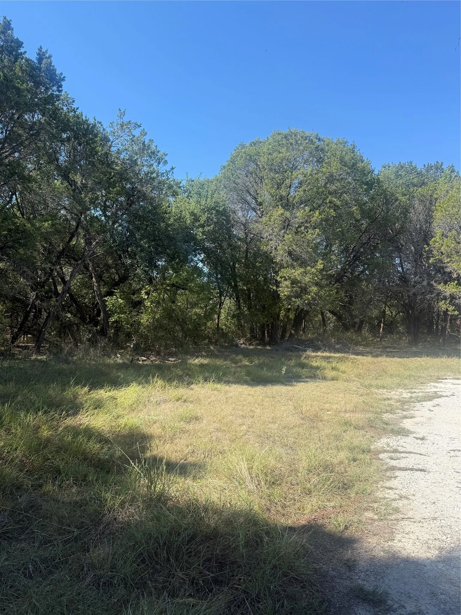 Open lot featuring native grasses and mature trees with a limestone gravel perimeter