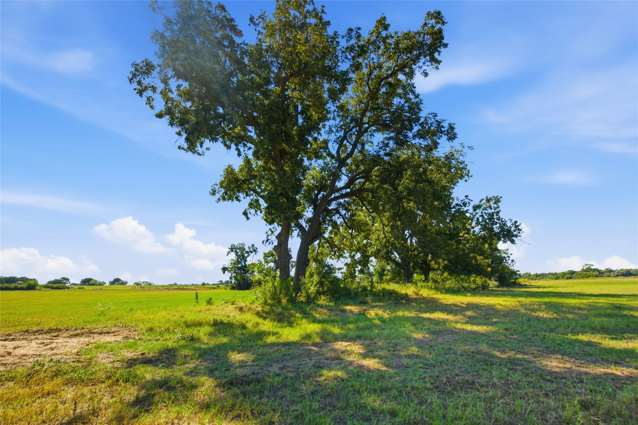 Improved Land For Sale in Parker County , TBD Clary Road, Millsap, Texas 76066, 0, 0, Garage spaces, 0 Sqft, built in 0, mls#21406099, Real Estate Agent in Millsap, Homes For Sale in Parker county, Homes For Sale in Millsap, Realtor in Millsap Texas, Real Estate Brokerage Independent Realty Texas, Luminita Cordes Realtor