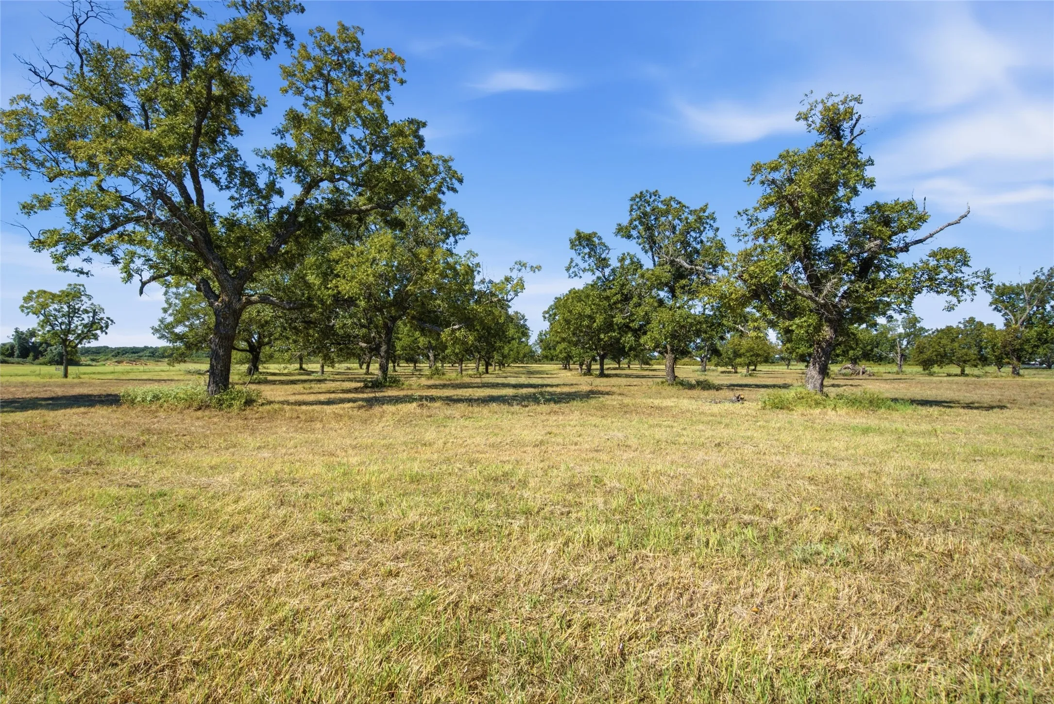 Improved Land For Sale in Parker County , TBD Clary Road, Millsap, Texas 76066, 0, 0, Garage spaces, 0 Sqft, built in 0, mls#21406099, Real Estate Agent in Millsap, Homes For Sale in Parker county, Homes For Sale in Millsap, Realtor in Millsap Texas, Real Estate Brokerage Independent Realty Texas, Luminita Cordes Realtor