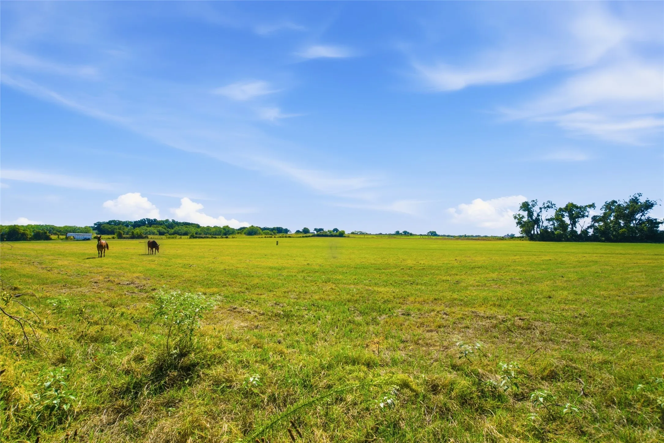 Improved Land For Sale in Parker County , TBD Clary Road, Millsap, Texas 76066, 0, 0, Garage spaces, 0 Sqft, built in 0, mls#21406099, Real Estate Agent in Millsap, Homes For Sale in Parker county, Homes For Sale in Millsap, Realtor in Millsap Texas, Real Estate Brokerage Independent Realty Texas, Luminita Cordes Realtor