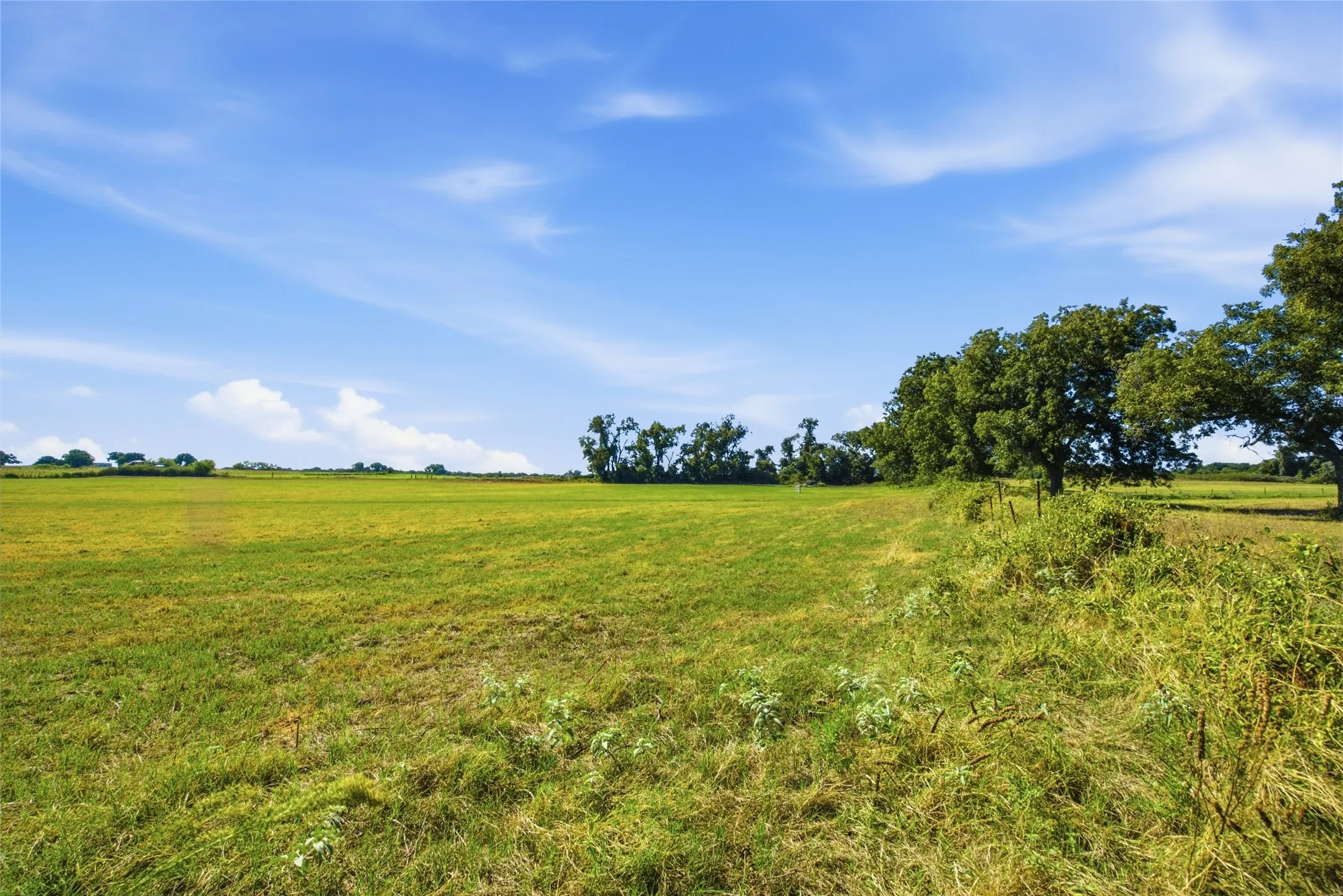 Improved Land For Sale in Parker County , TBD Clary Road, Millsap, Texas 76066, 0, 0, Garage spaces, 0 Sqft, built in 0, mls#21406099, Real Estate Agent in Millsap, Homes For Sale in Parker county, Homes For Sale in Millsap, Realtor in Millsap Texas, Real Estate Brokerage Independent Realty Texas, Luminita Cordes Realtor
