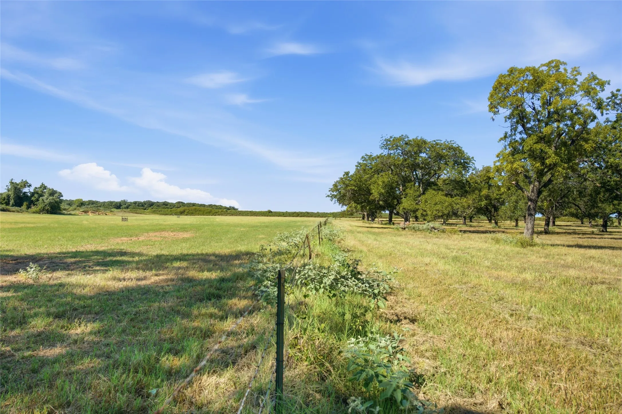 Improved Land For Sale in Parker County , TBD Clary Road, Millsap, Texas 76066, 0, 0, Garage spaces, 0 Sqft, built in 0, mls#21406099, Real Estate Agent in Millsap, Homes For Sale in Parker county, Homes For Sale in Millsap, Realtor in Millsap Texas, Real Estate Brokerage Independent Realty Texas, Luminita Cordes Realtor