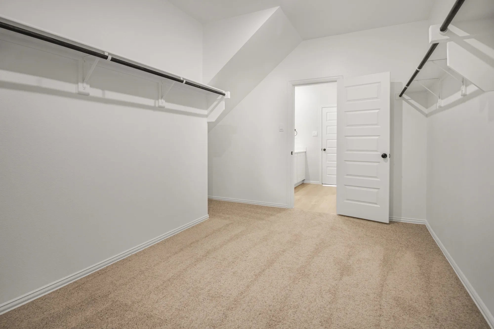 Light-colored carpeting, white walls, built-in closet shelving, and a paneled interior door with dark hardware