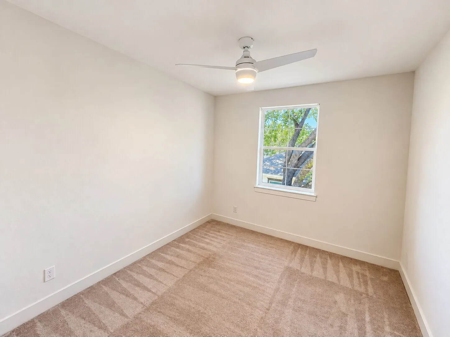 Neutral-toned walls, carpeted flooring, and a single window