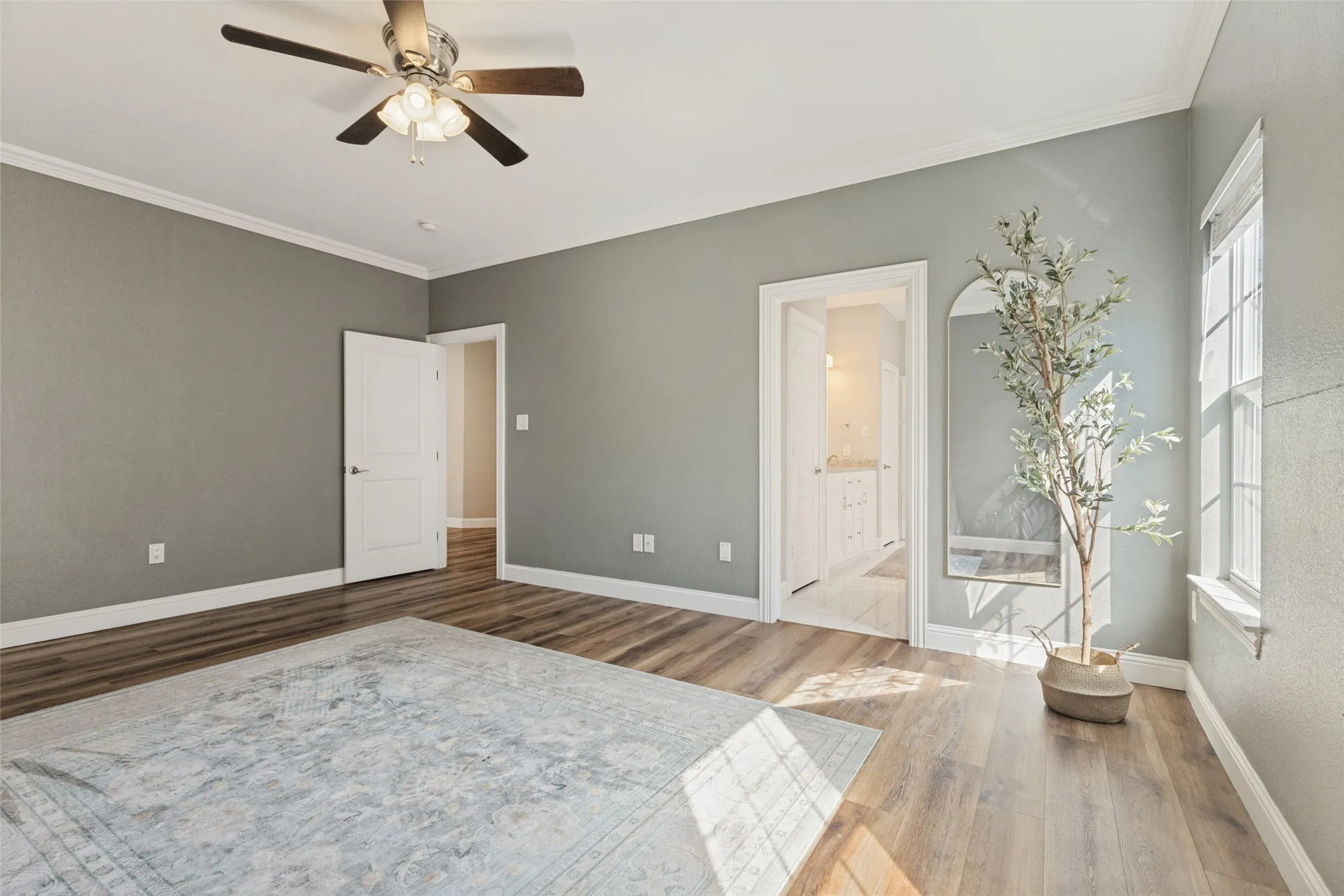 Oversized primary bedroom right off the living room with great natural lighting
