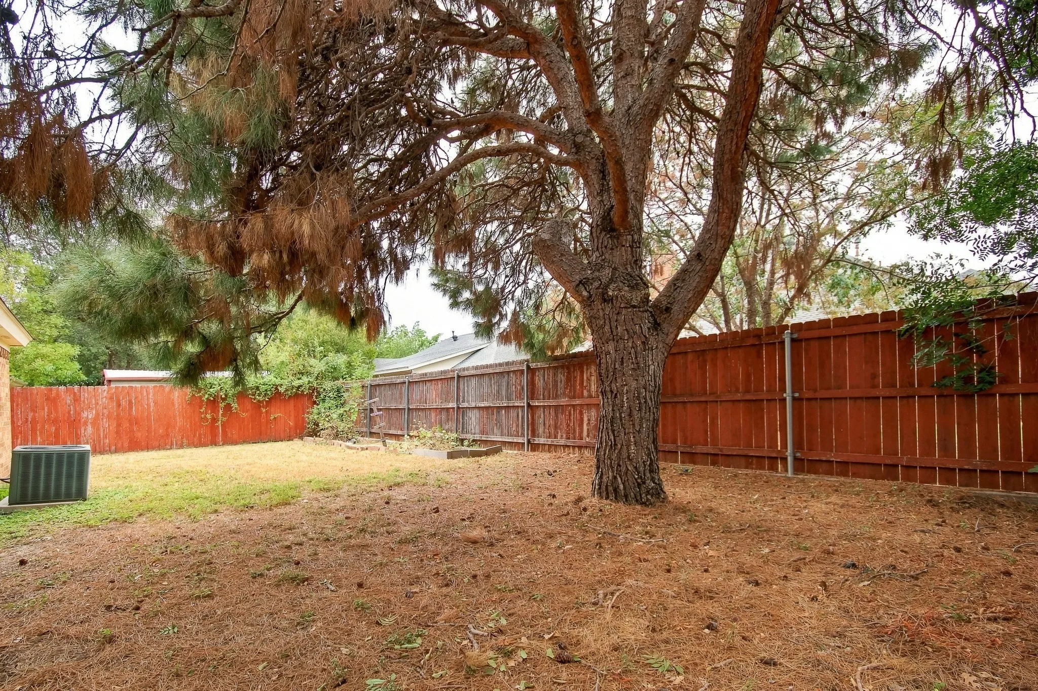Expansive backyard featuring a mature tree, wood fencing, and a grassy area