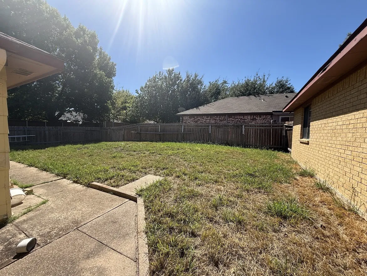 Backyard