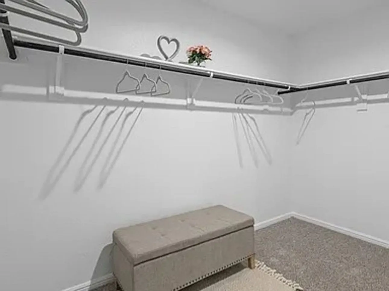 Walk in closet with carpet floors