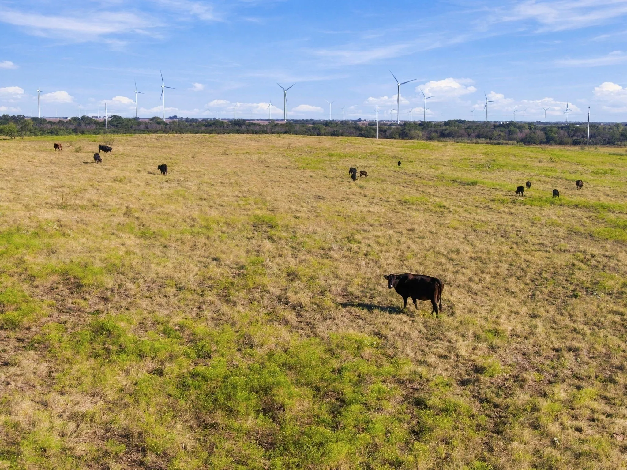 Unimproved Land For Sale in Hill County , 1203 Hcr 3220, Penelope, Texas 76676, 0, 0, Garage spaces, 0 Sqft, built in 0, mls#21407191, Real Estate Agent in Penelope, Homes For Sale in Hill county, Homes For Sale in Penelope, Realtor in Penelope Texas, Real Estate Brokerage Independent Realty Texas, Luminita Cordes Realtor