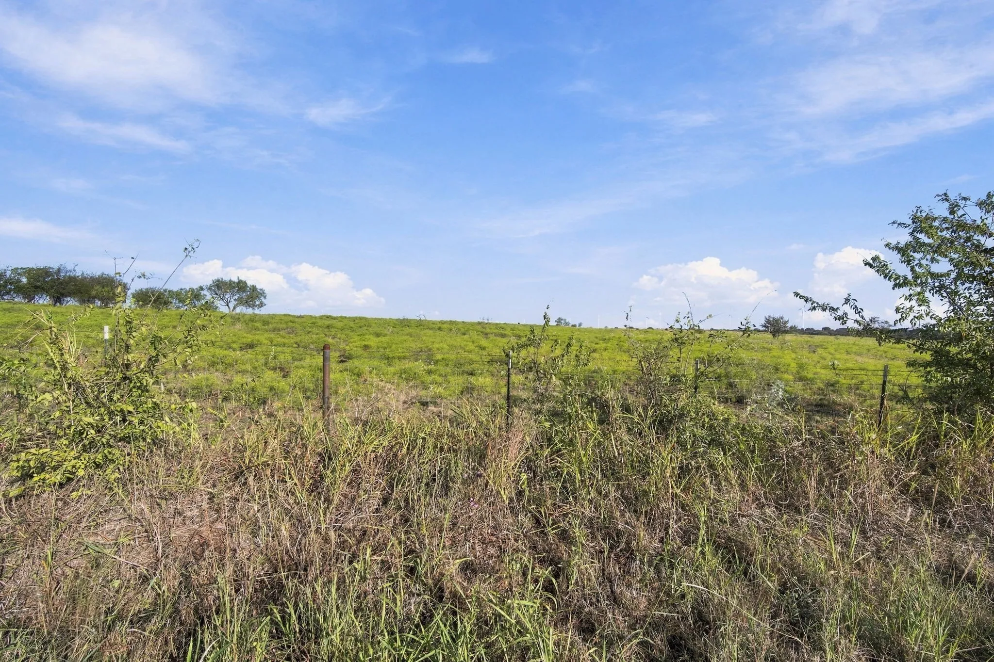 Unimproved Land For Sale in Hill County , 1203 Hcr 3220, Penelope, Texas 76676, 0, 0, Garage spaces, 0 Sqft, built in 0, mls#21407191, Real Estate Agent in Penelope, Homes For Sale in Hill county, Homes For Sale in Penelope, Realtor in Penelope Texas, Real Estate Brokerage Independent Realty Texas, Luminita Cordes Realtor
