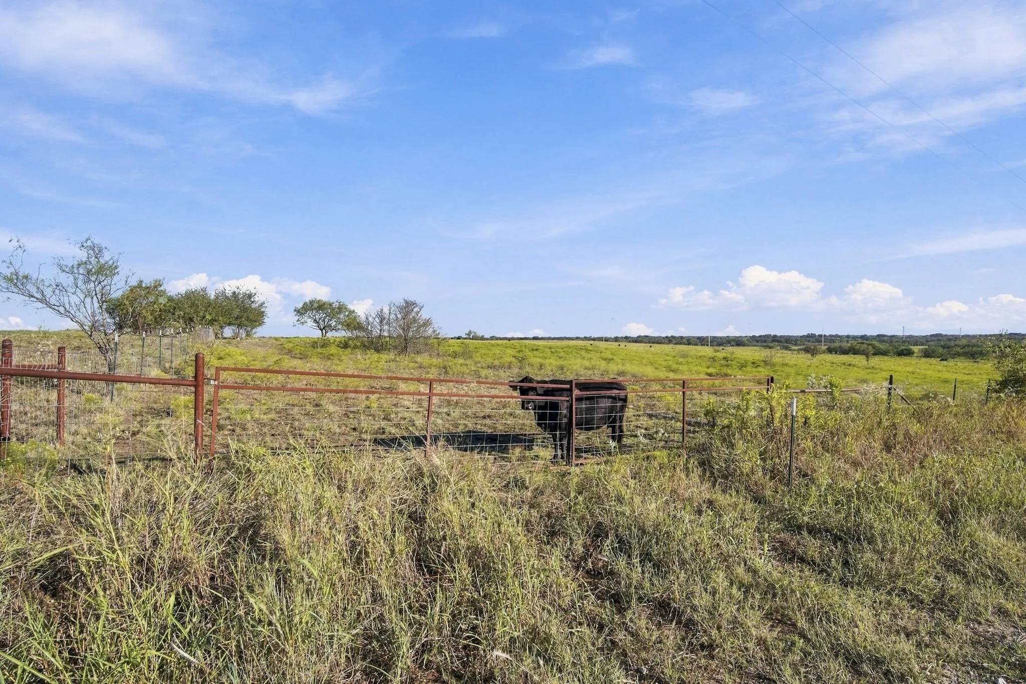 Unimproved Land For Sale in Hill County , 1203 Hcr 3220, Penelope, Texas 76676, 0, 0, Garage spaces, 0 Sqft, built in 0, mls#21407191, Real Estate Agent in Penelope, Homes For Sale in Hill county, Homes For Sale in Penelope, Realtor in Penelope Texas, Real Estate Brokerage Independent Realty Texas, Luminita Cordes Realtor