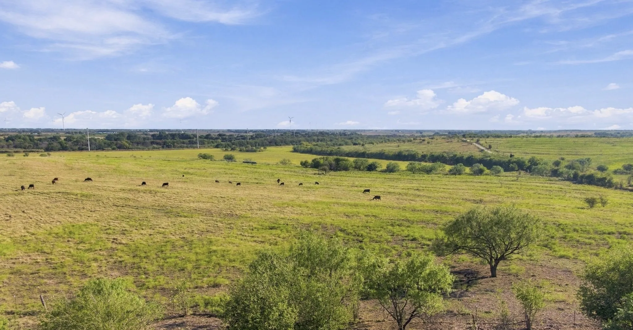 Unimproved Land For Sale in Hill County , 1203 Hcr 3220, Penelope, Texas 76676, 0, 0, Garage spaces, 0 Sqft, built in 0, mls#21407191, Real Estate Agent in Penelope, Homes For Sale in Hill county, Homes For Sale in Penelope, Realtor in Penelope Texas, Real Estate Brokerage Independent Realty Texas, Luminita Cordes Realtor
