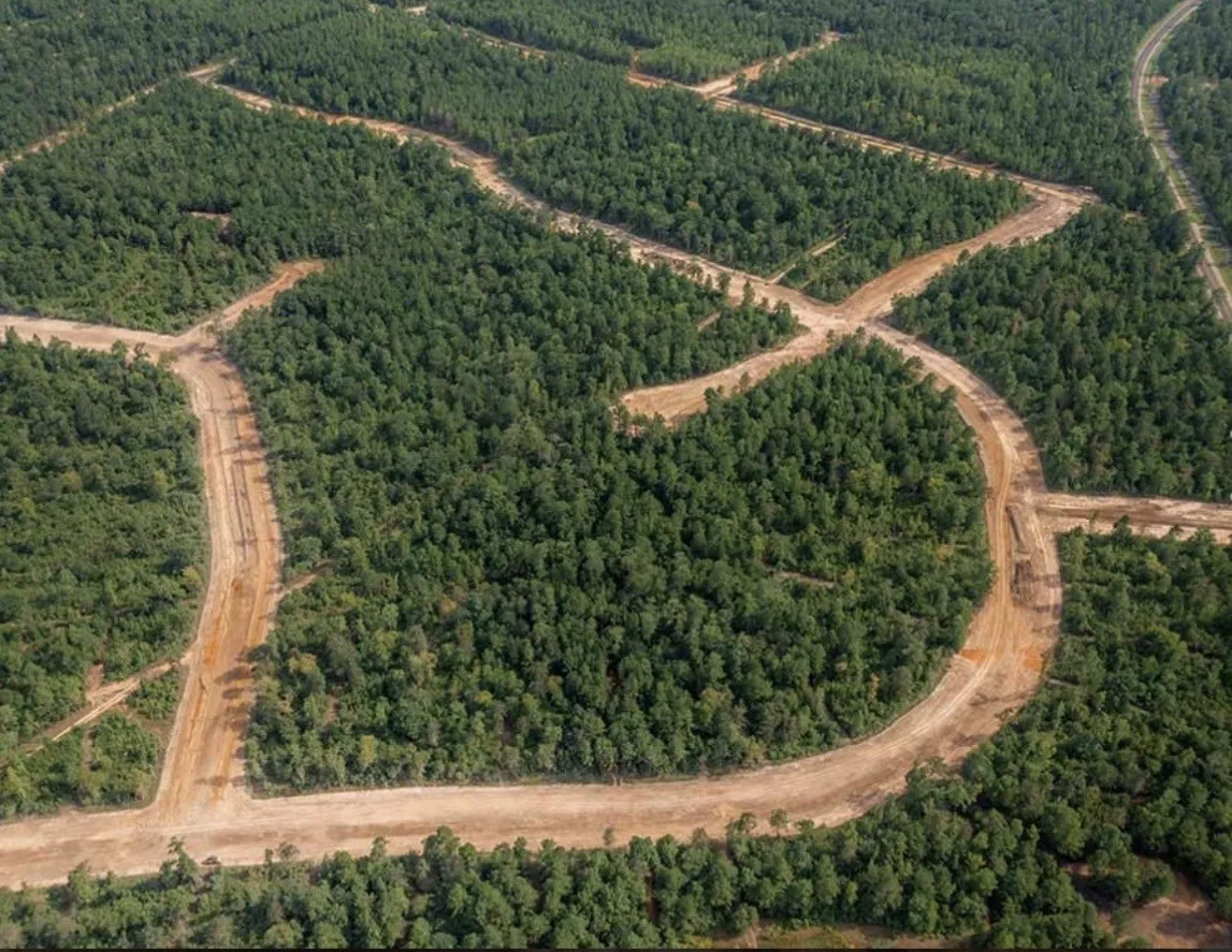 Unimproved Land For Sale in Walker County , 16 Coyote, New Waverly, Texas 77358, 0, 0, Garage spaces, 0 Sqft, built in 0, mls#21407414, Real Estate Agent in New Waverly, Homes For Sale in Walker county, Homes For Sale in New Waverly, Realtor in New Waverly Texas, Real Estate Brokerage Independent Realty Texas, Luminita Cordes Realtor