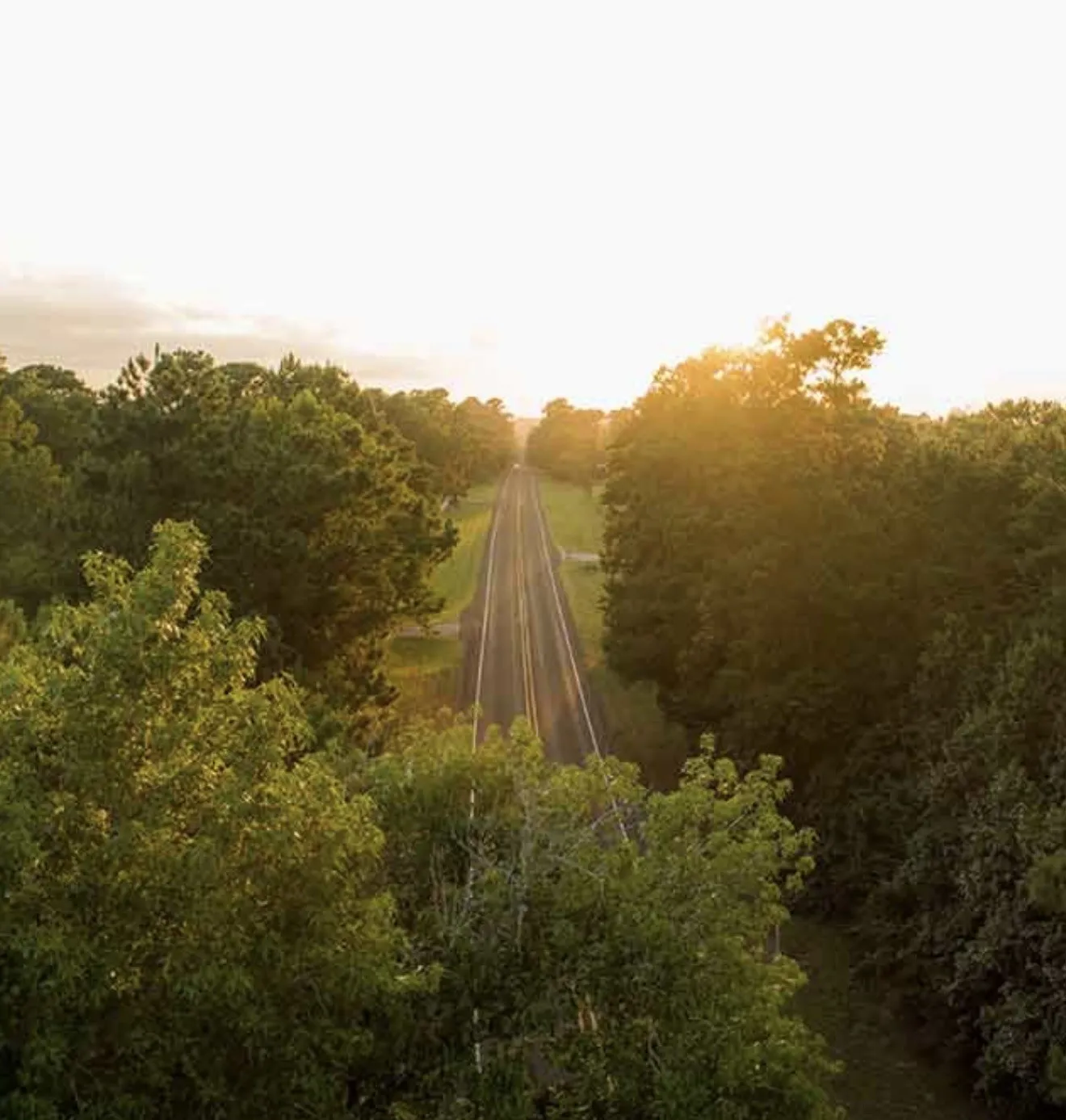 Unimproved Land For Sale in Walker County , 16 Coyote, New Waverly, Texas 77358, 0, 0, Garage spaces, 0 Sqft, built in 0, mls#21407414, Real Estate Agent in New Waverly, Homes For Sale in Walker county, Homes For Sale in New Waverly, Realtor in New Waverly Texas, Real Estate Brokerage Independent Realty Texas, Luminita Cordes Realtor