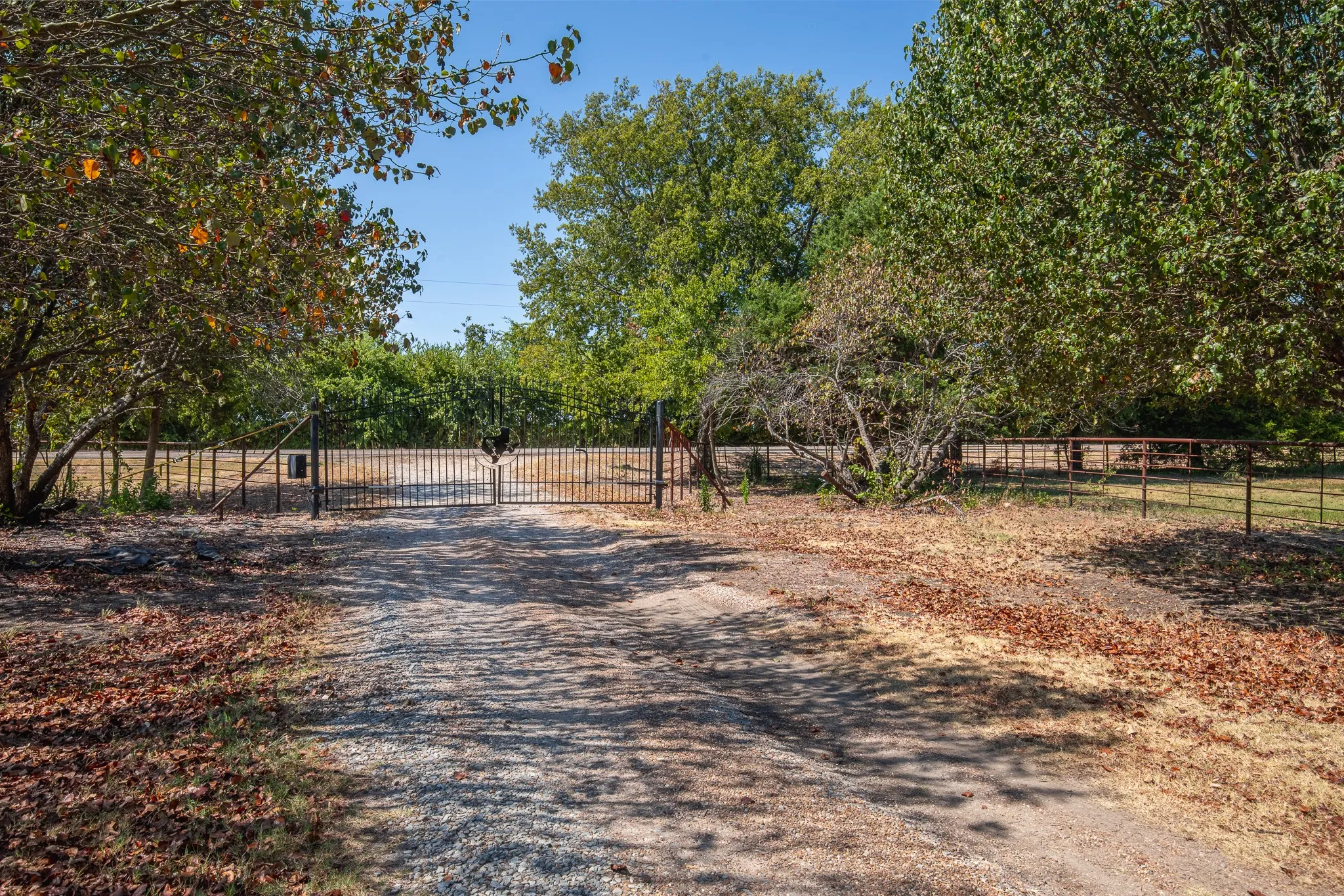 Electric Gates
