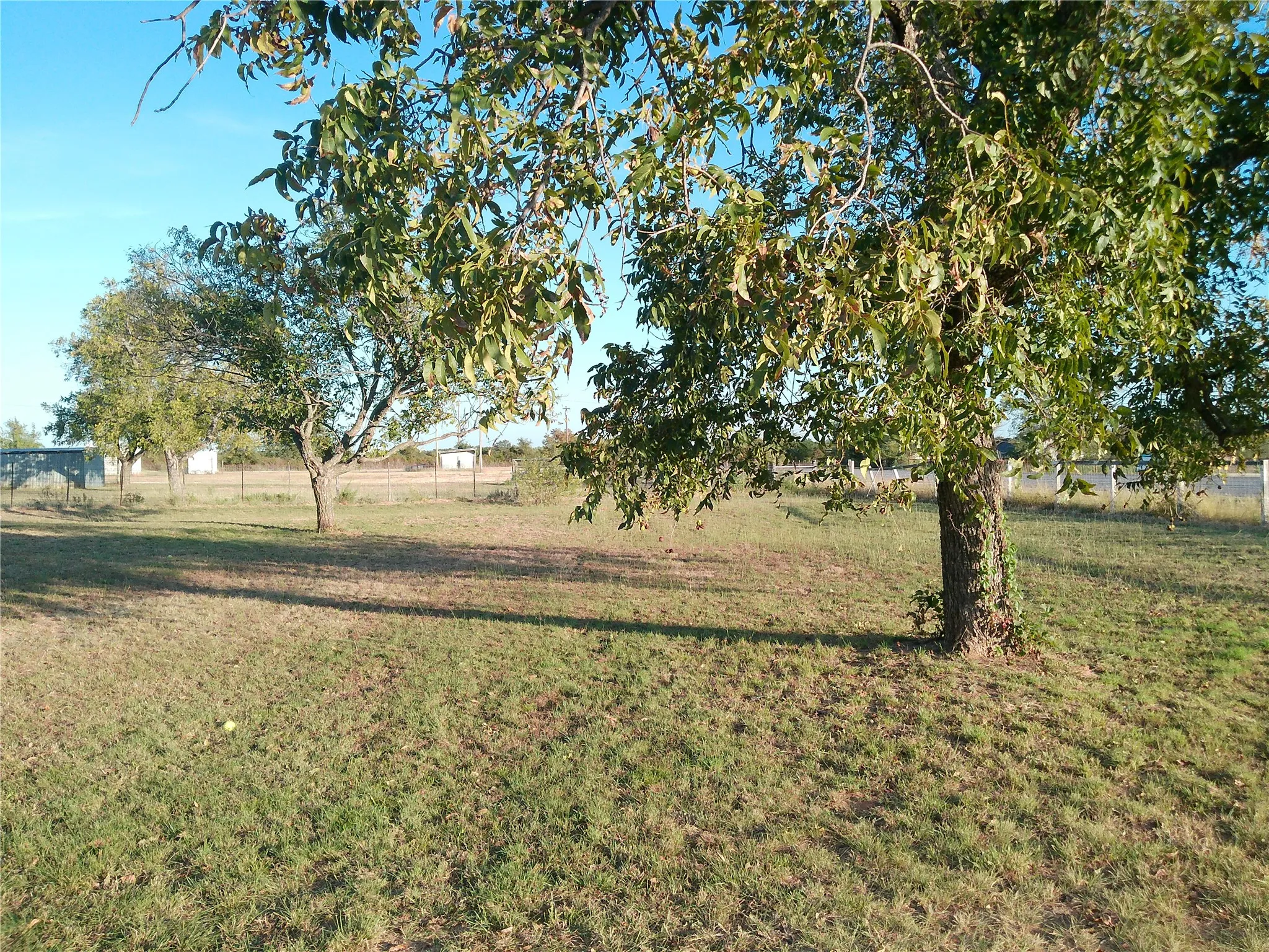 Single Family Residence For Rent in Callahan County , 9688 State Highway 36 W, Clyde, Texas 79510, 1 Bedroom, 1 Bathroom, Garage spaces, 1,207 Sqft, built in 2017, mls#21405049, Real Estate Agent in Clyde, Homes For Rent in Callahan county, Homes For Rent in Clyde, Realtor in Clyde Texas, Real Estate Brokerage Independent Realty Texas, Luminita Cordes Realtor