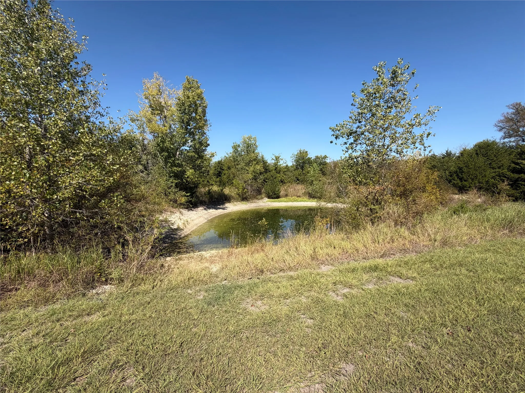Single Family Residence For Sale in Hunt County , 2054 County Road 1034, Greenville, Texas 75401, 3 Bedroom, 3 Bathroom, 2 Garage spaces, 1,915 Sqft, built in 2005, mls#21407433, Real Estate Agent in Greenville, Homes For Sale in Hunt county, Homes For Sale in Greenville, Realtor in Greenville Texas, Real Estate Brokerage Independent Realty Texas, Luminita Cordes Realtor