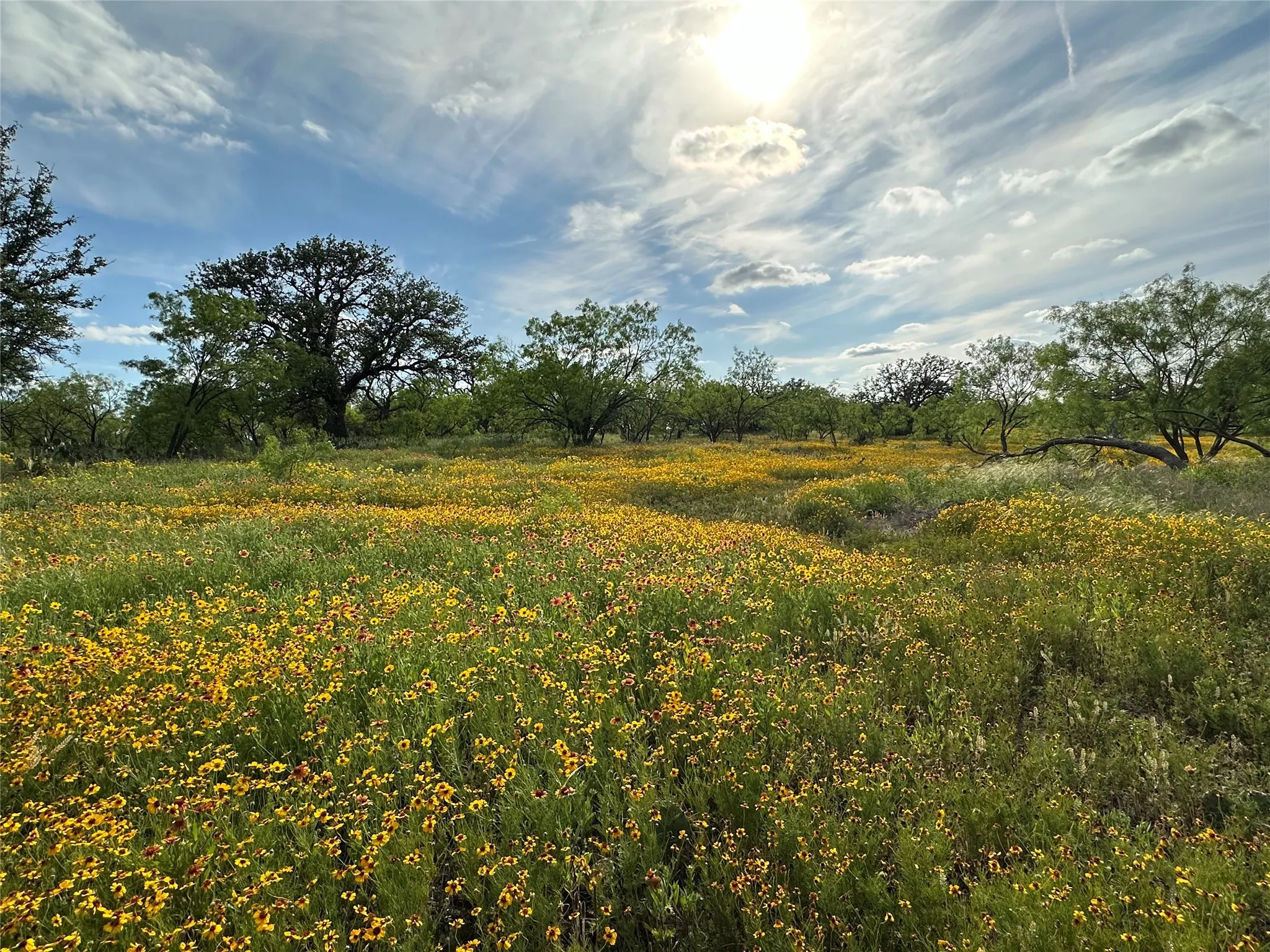 Unimproved Land For Sale in Mc Culloch County , 2240 Buck Ridge Road, Brady, Texas 76858, 0, 0, Garage spaces, 0 Sqft, built in 0, mls#21407536, Real Estate Agent in Brady, Homes For Sale in Mc Culloch county, Homes For Sale in Brady, Realtor in Brady Texas, Real Estate Brokerage Independent Realty Texas, Luminita Cordes Realtor