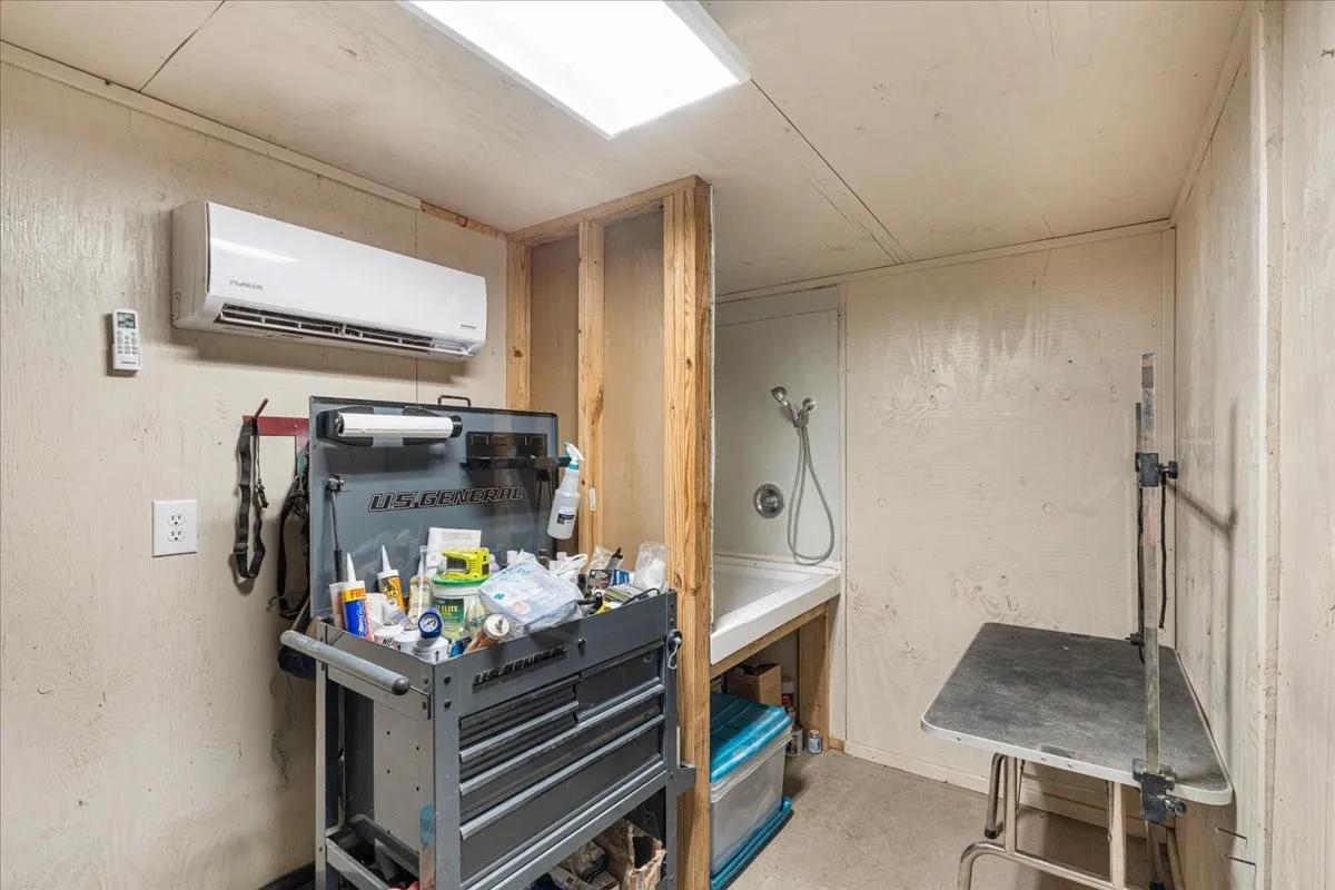 Wall-mounted mini-split system, recessed overhead lighting, and built-in utility sink with shower attachment