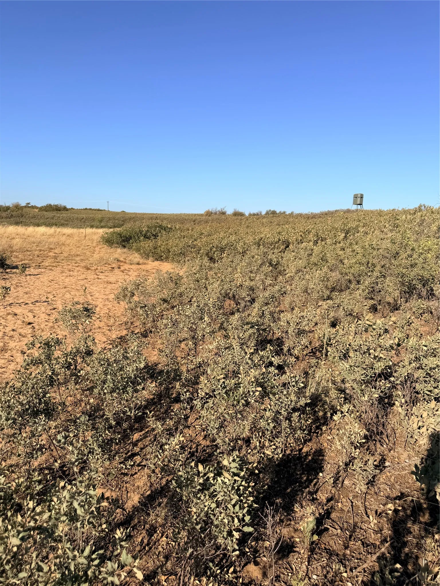 Unimproved Land For Sale in Cottle County , TBD County Road 117, Paducah, Texas 79248, 0, 0, Garage spaces, 0 Sqft, built in 0, mls#21406279, Real Estate Agent in Paducah, Homes For Sale in Cottle county, Homes For Sale in Paducah, Realtor in Paducah Texas, Real Estate Brokerage Independent Realty Texas, Luminita Cordes Realtor