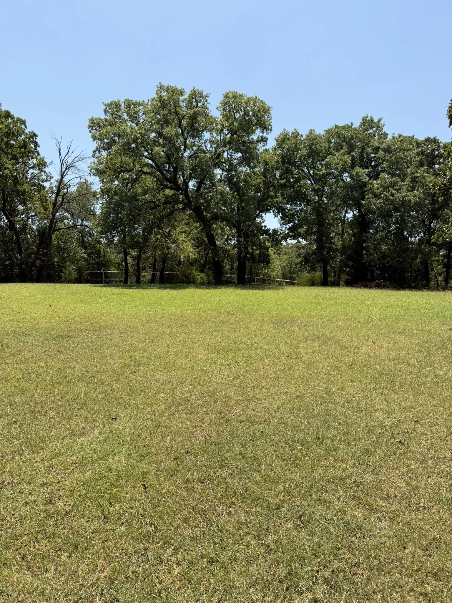 Expansive grassy area with mature trees forming a natural border