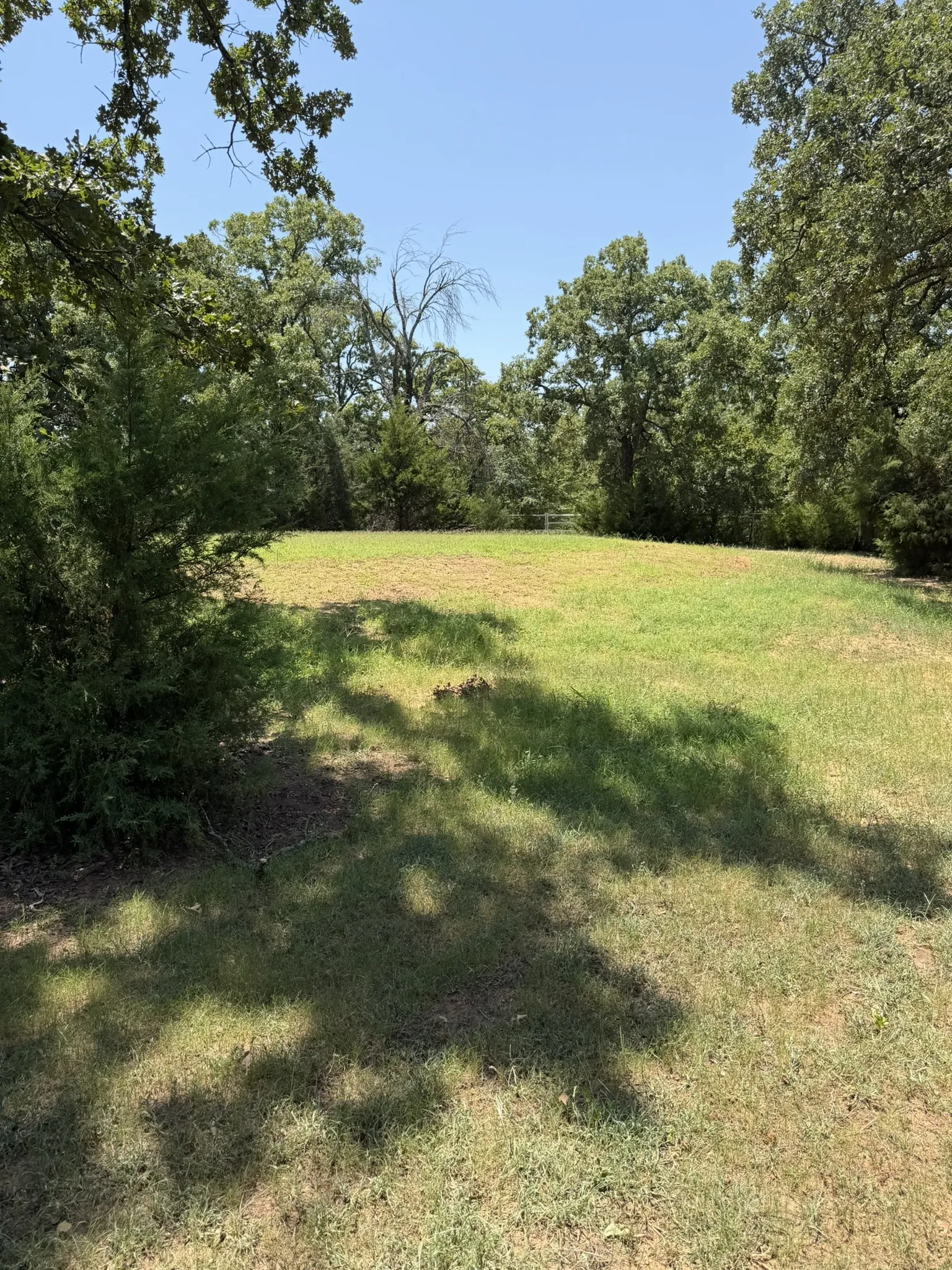 Expansive clearing with natural tree surroundings and varied green foliage