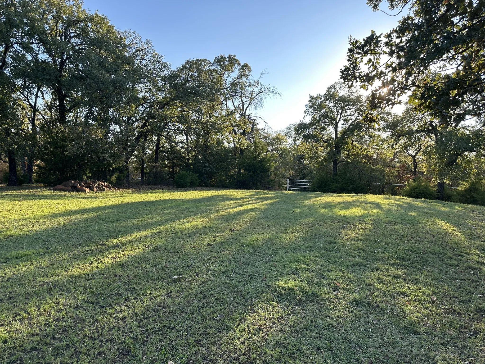 Expansive grassy area surrounded by mature trees, featuring a light-colored wooden fence