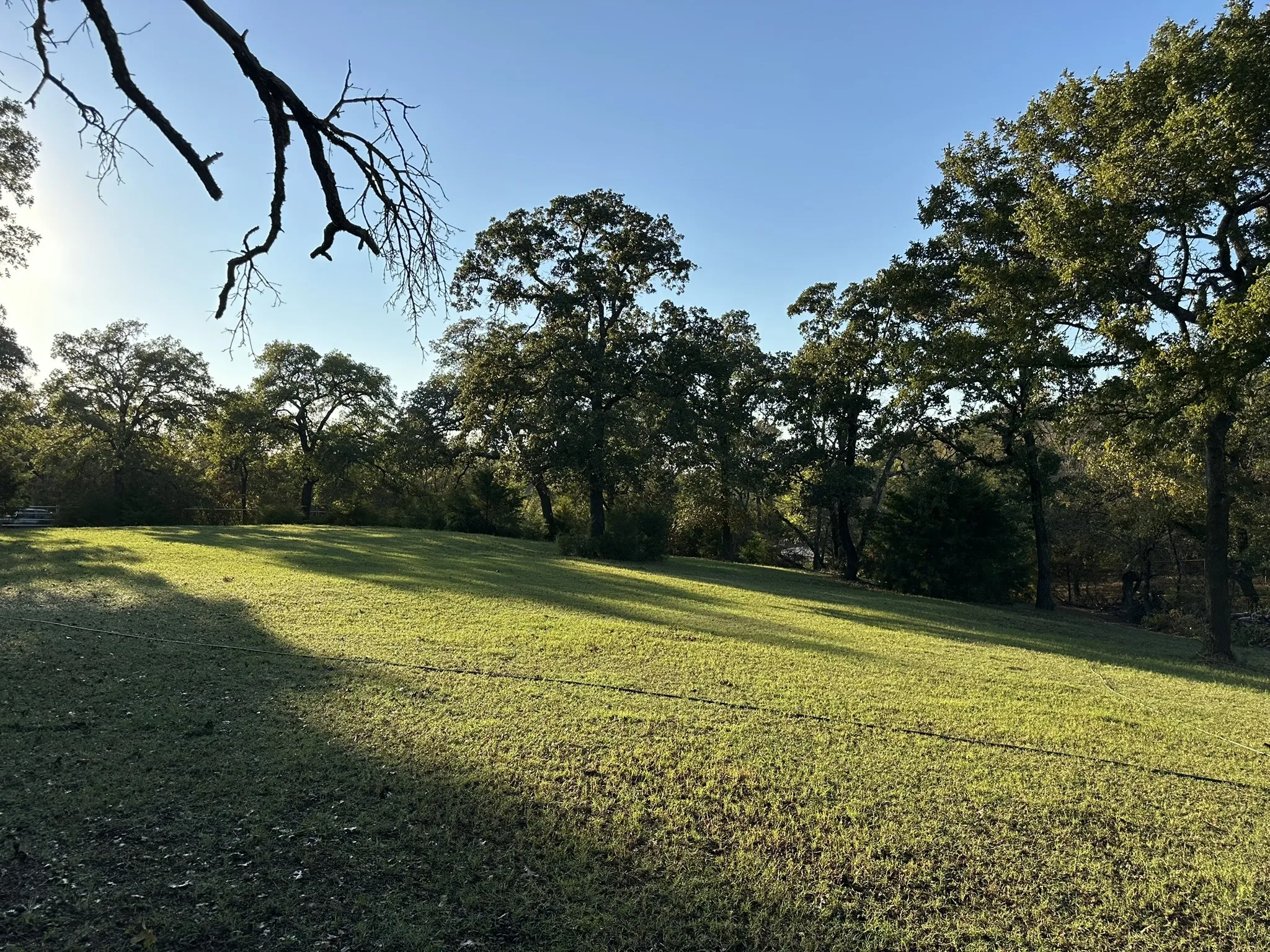 Expansive grassy yard with mature trees