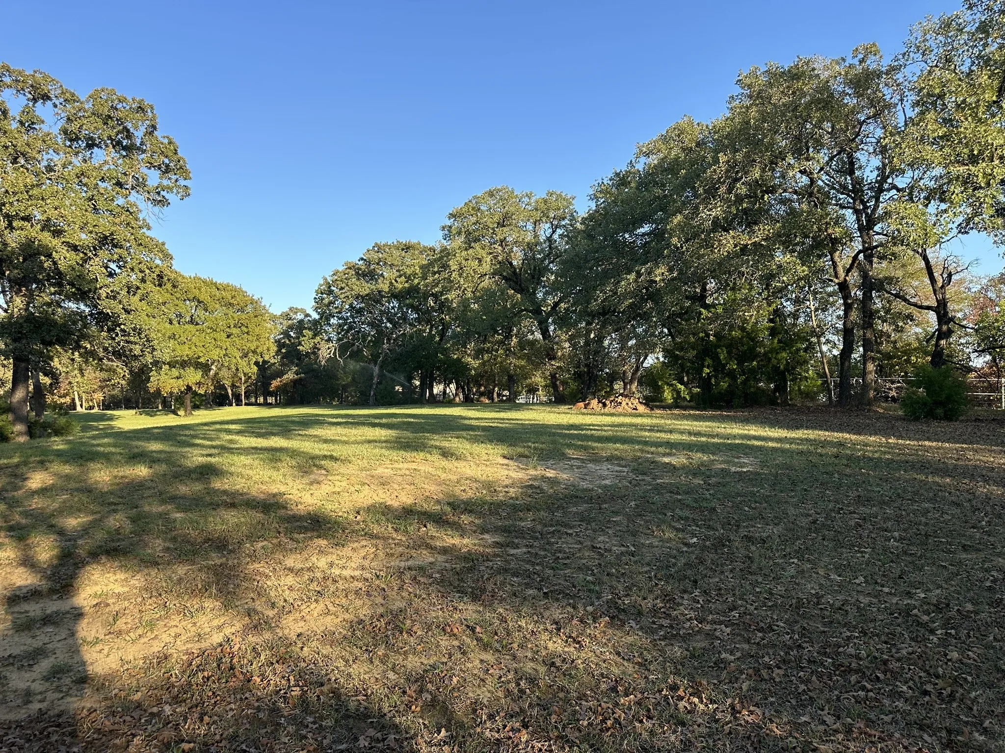 Expansive grassy field with a clear blue sky, surrounded by mature trees