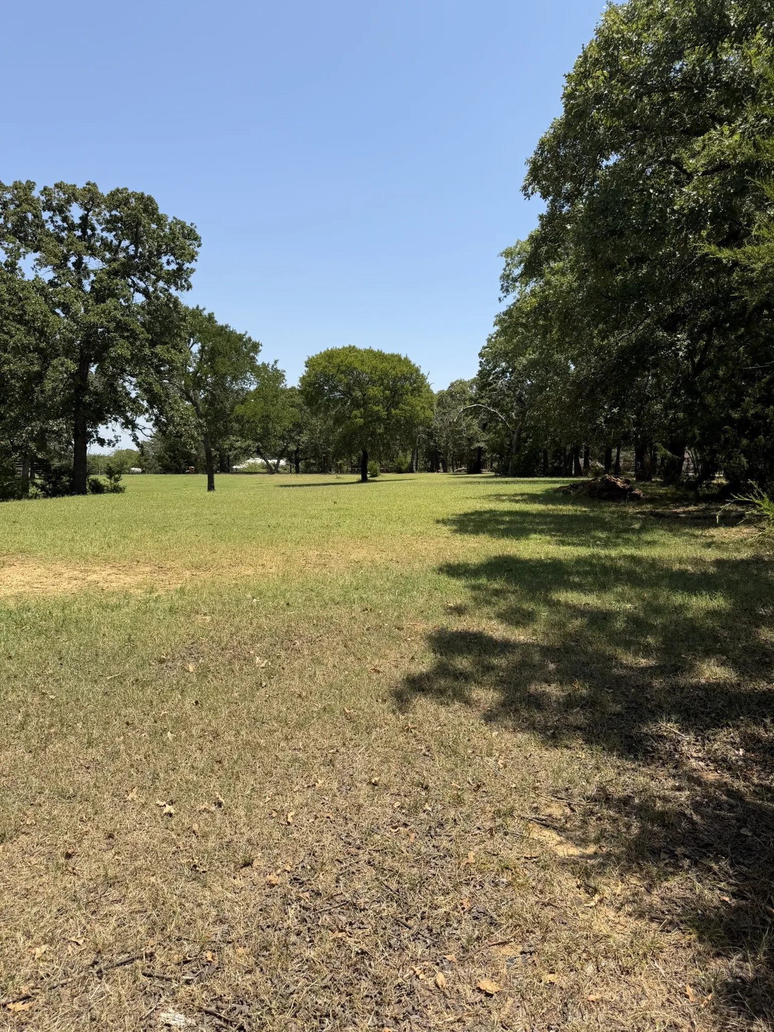 Expansive grounds featuring mature shade trees, open lawn areas, and natural tree-lined perimeter