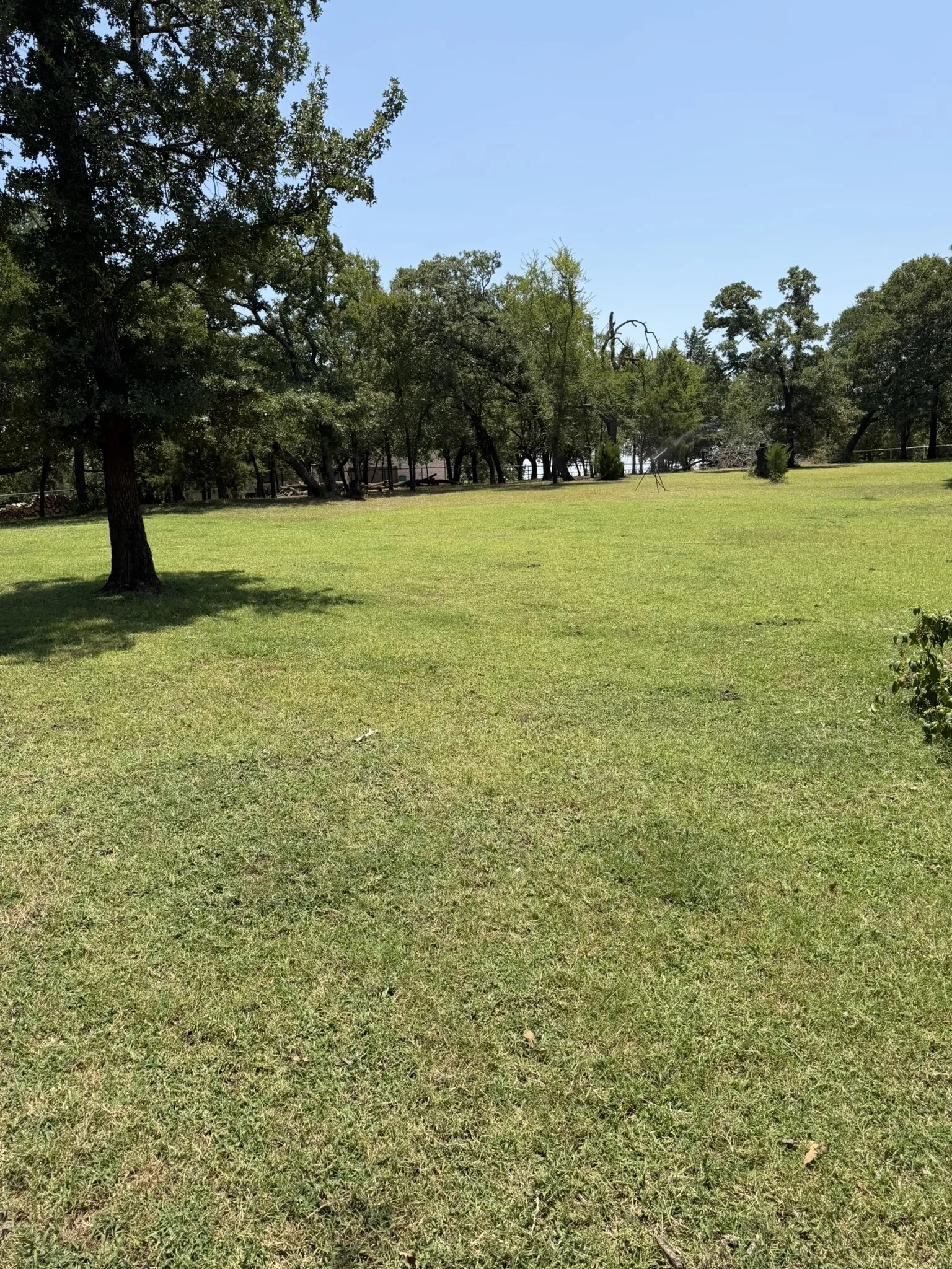 Expansive green lawn with mature trees and a clear sky