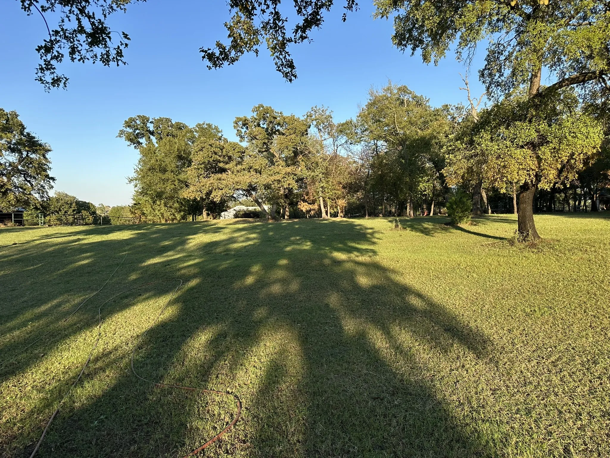 Expansive grassy lawn with mature trees and natural landscaping