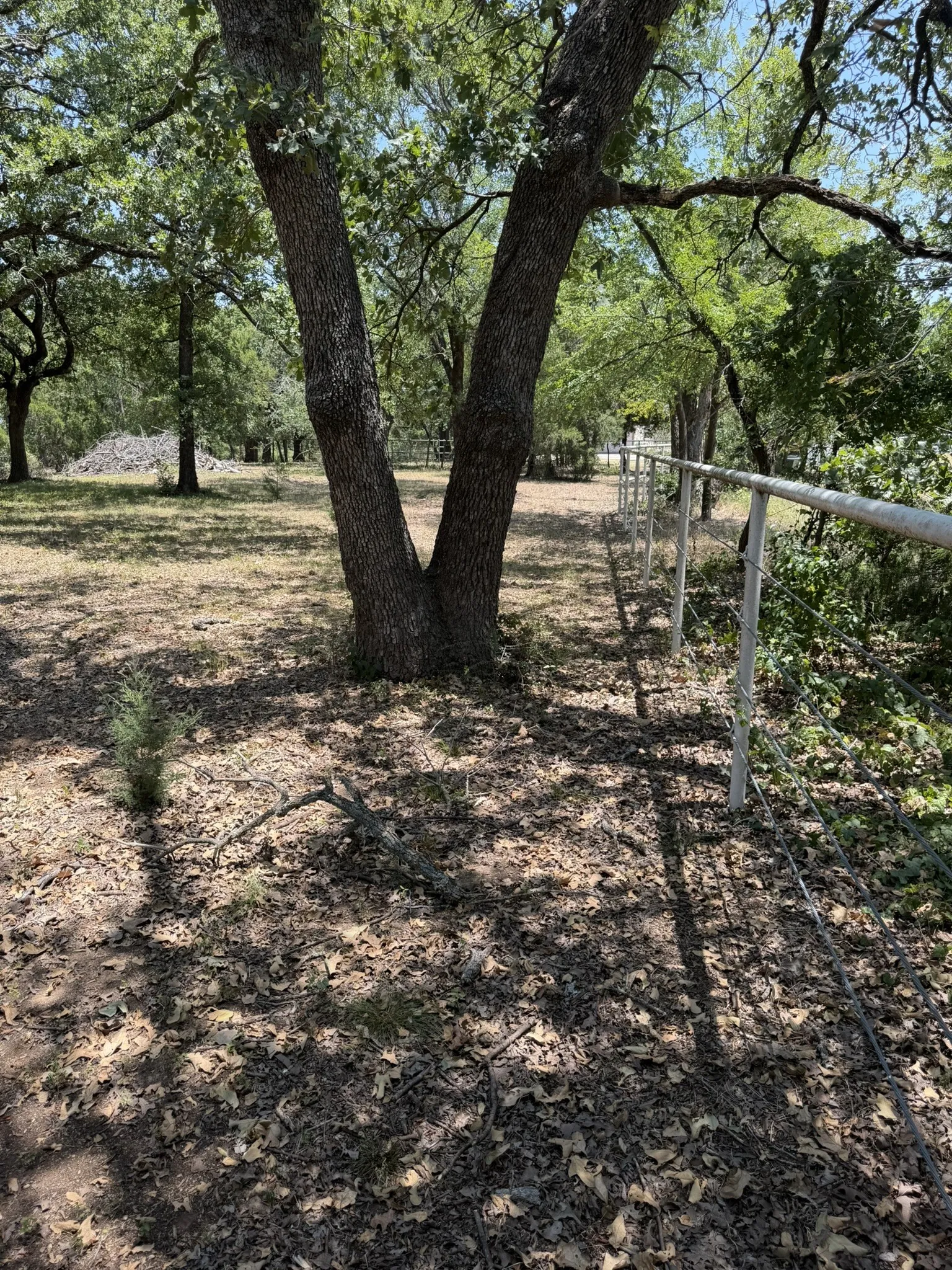 Mature oak trees provide natural shade throughout the pastoral grounds, complemented by rustic split-rail fencing that defines the property perimeter