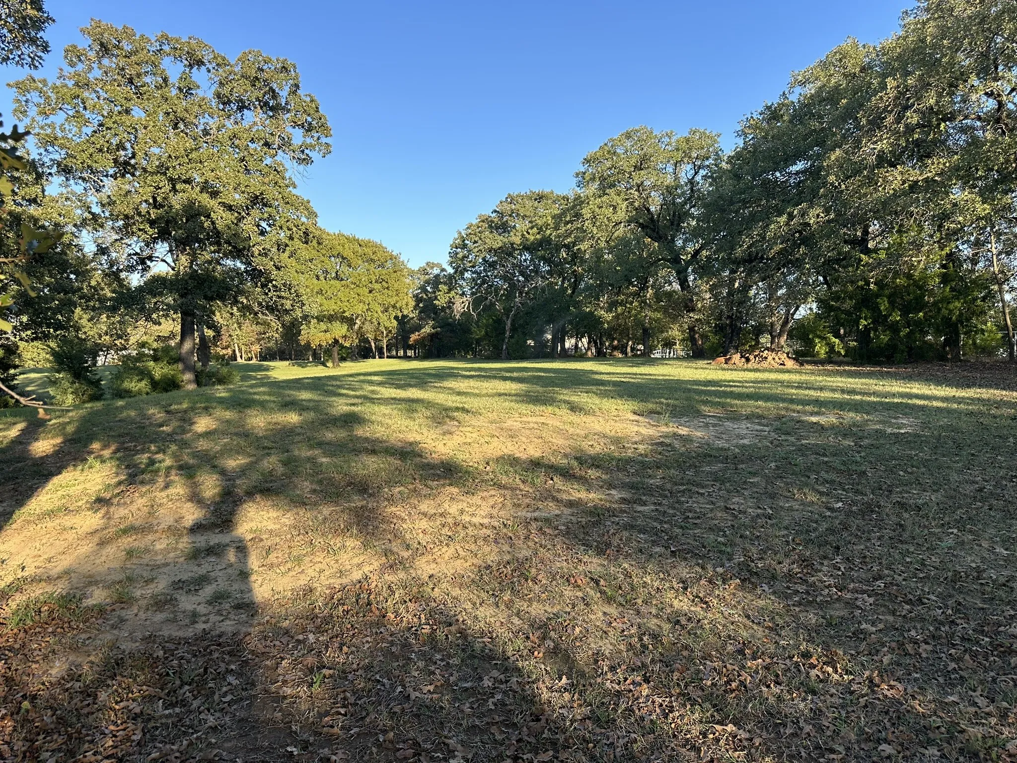 Expansive grassy area surrounded by mature trees