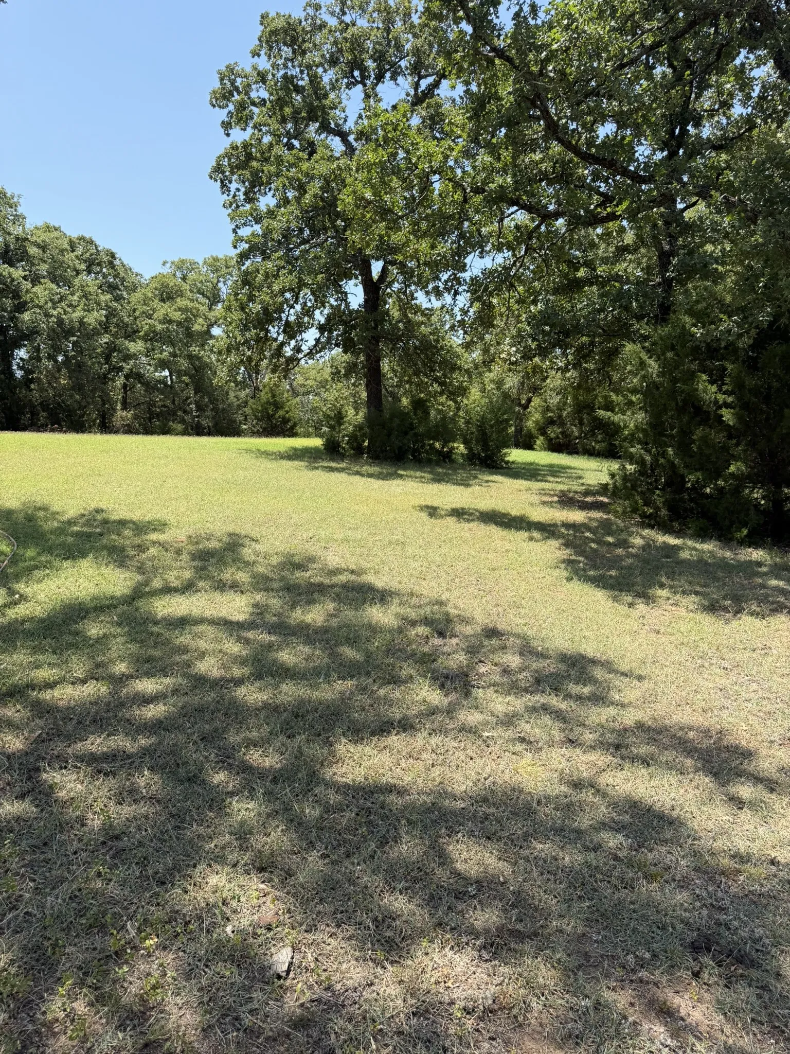Expansive grassy area with mature trees and natural landscaping
