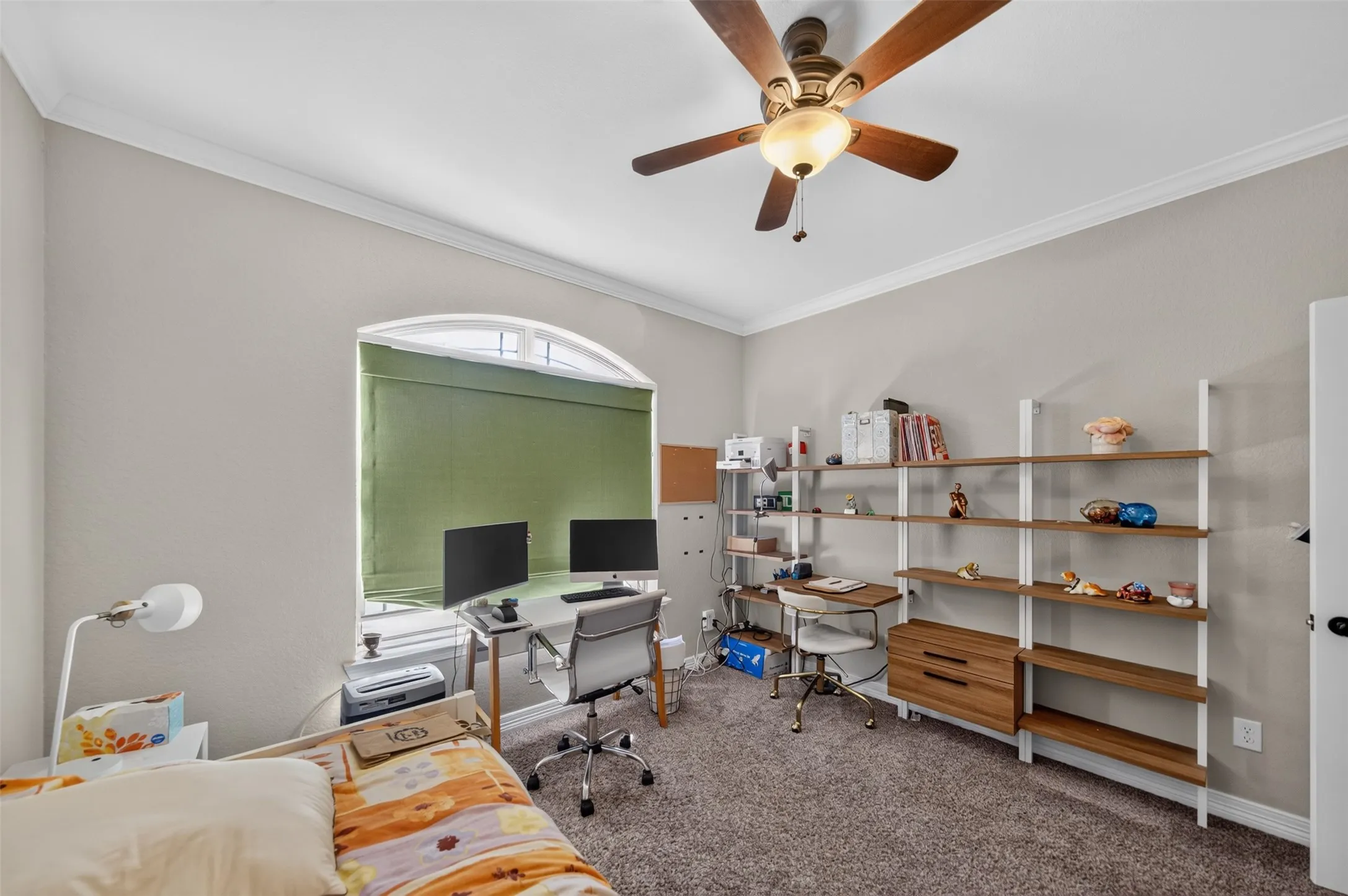 Library/study/office