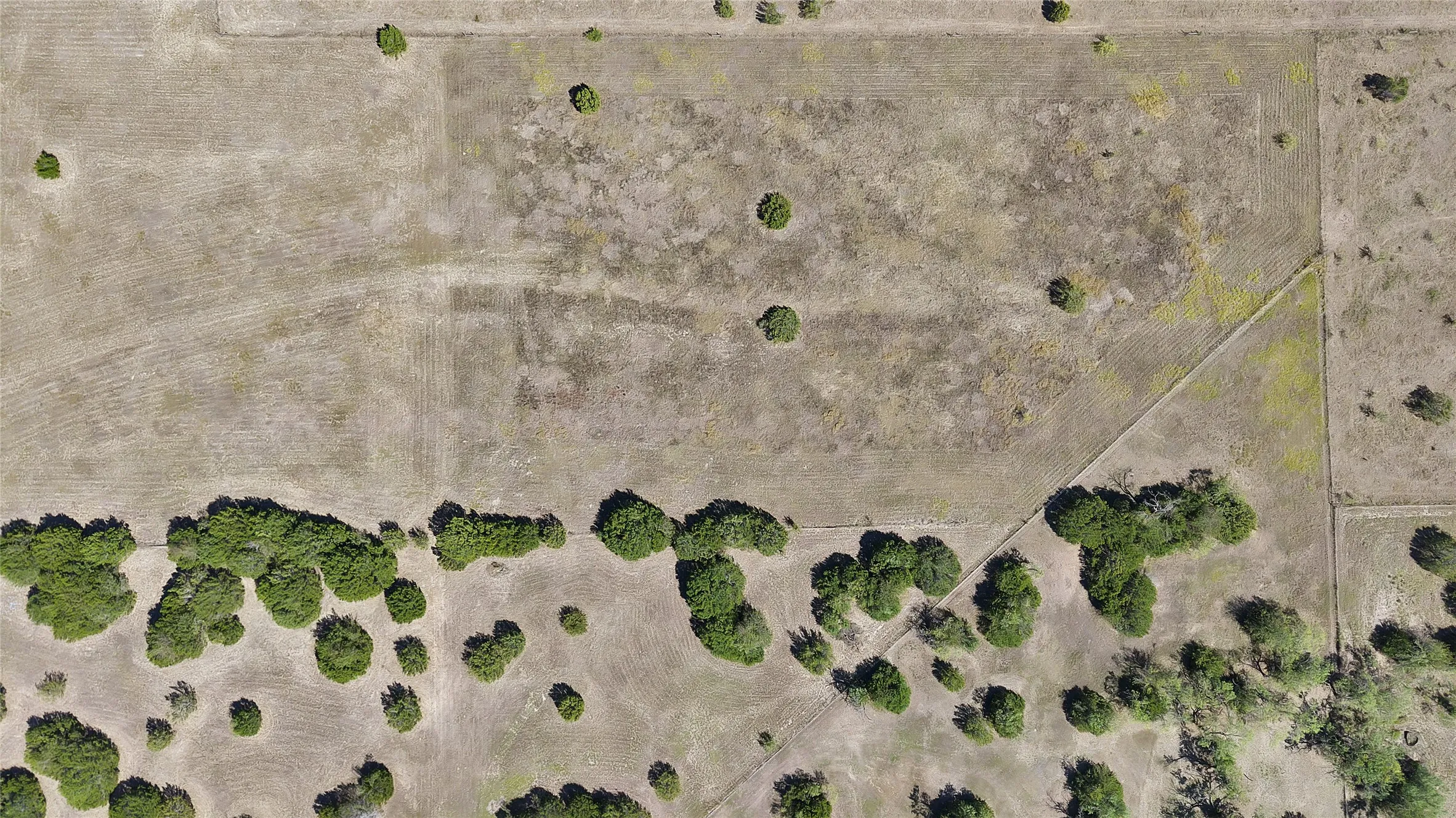 Unimproved Land For Sale in Bosque County , 165 Private Road 2656, Walnut Springs, Texas 76690, 0, 0, Garage spaces, 0 Sqft, built in 0, mls#21400300, Real Estate Agent in Walnut Springs, Homes For Sale in Bosque county, Homes For Sale in Walnut Springs, Realtor in Walnut Springs Texas, Real Estate Brokerage Independent Realty Texas, Luminita Cordes Realtor
