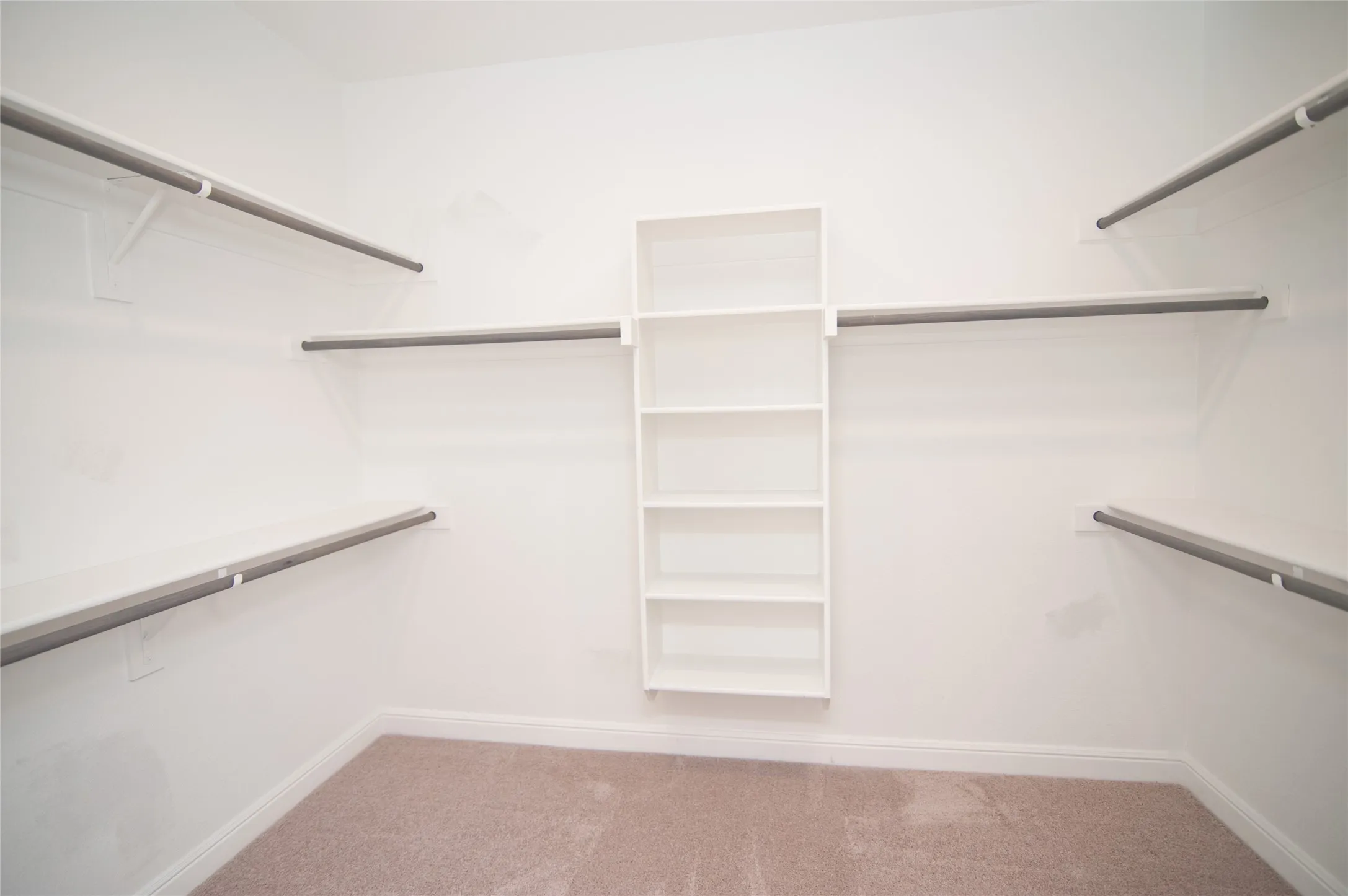 White walls, built-in shelving unit, hanging rods, wall-mounted shelving, and carpet flooring
