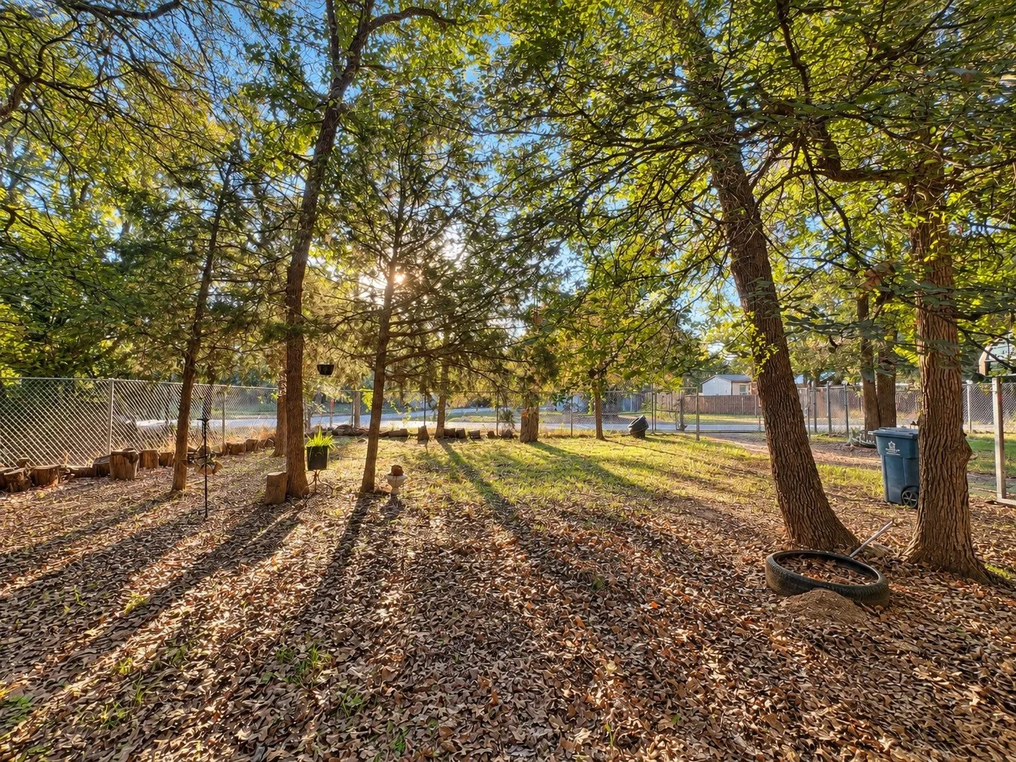 Expansive yard featuring mature trees, natural ground cover, and secure chain-link fencing