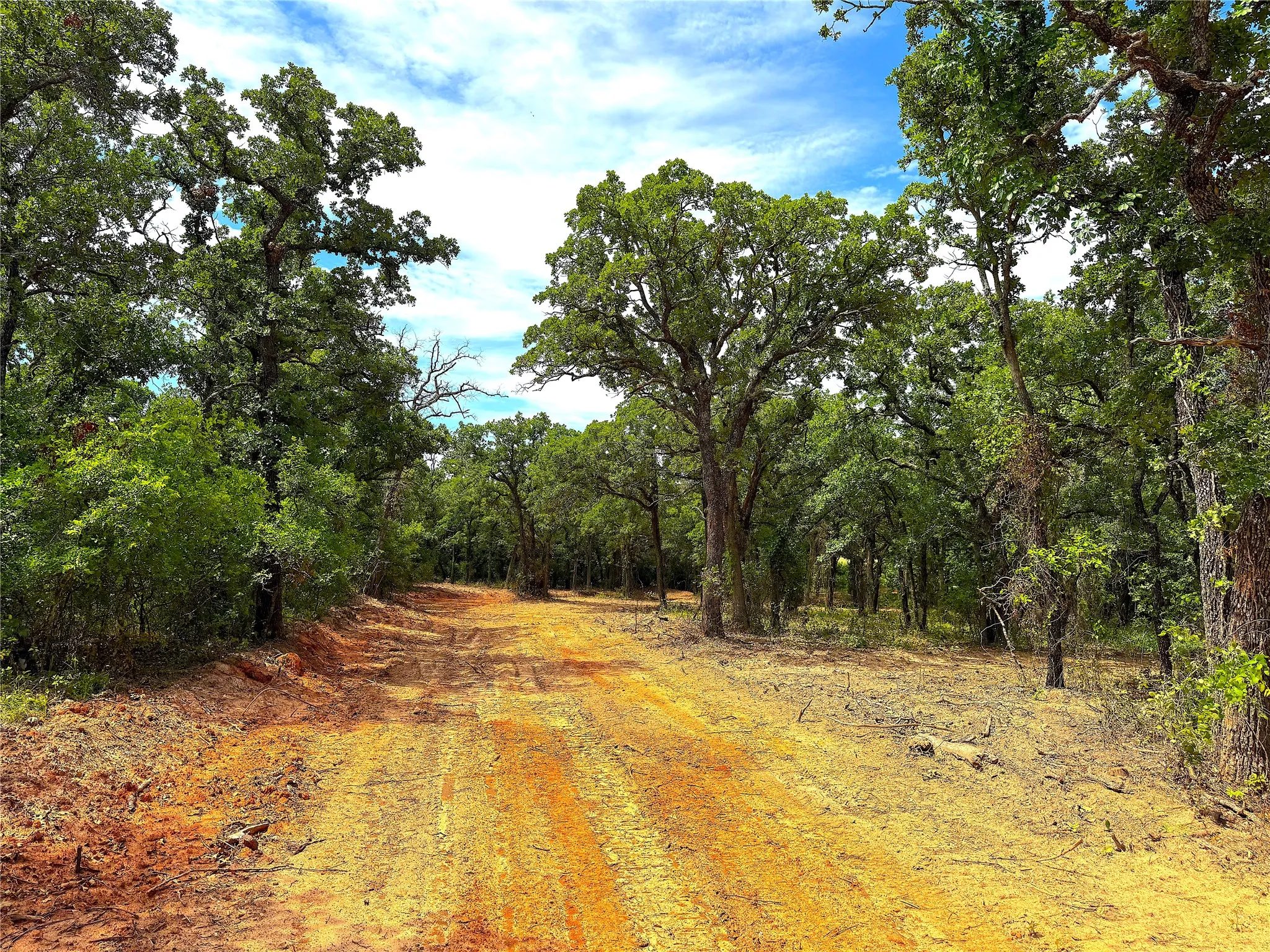 Unimproved Land For Sale in Parker County , TBD B Turpin Lake Road, Poolville, Texas 76487, 0, 0, Garage spaces, 0 Sqft, built in 0, mls#21407584, Real Estate Agent in Poolville, Homes For Sale in Parker county, Homes For Sale in Poolville, Realtor in Poolville Texas, Real Estate Brokerage Independent Realty Texas, Luminita Cordes Realtor