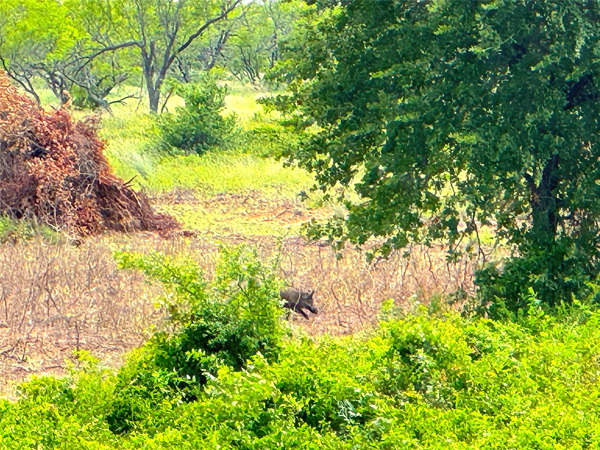 Unimproved Land For Sale in Parker County , TBD B Turpin Lake Road, Poolville, Texas 76487, 0, 0, Garage spaces, 0 Sqft, built in 0, mls#21407584, Real Estate Agent in Poolville, Homes For Sale in Parker county, Homes For Sale in Poolville, Realtor in Poolville Texas, Real Estate Brokerage Independent Realty Texas, Luminita Cordes Realtor