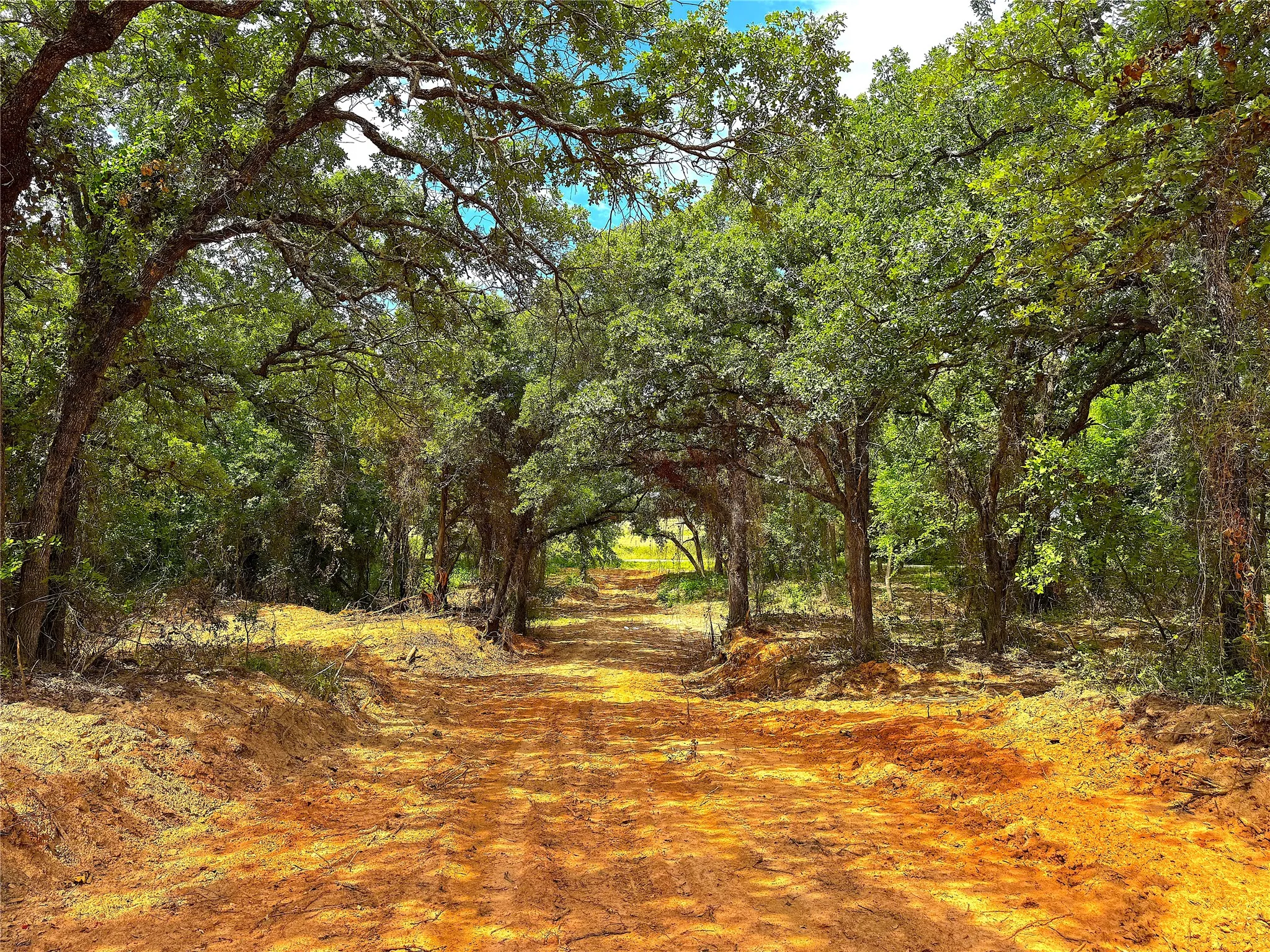 Unimproved Land For Sale in Parker County , TBD B Turpin Lake Road, Poolville, Texas 76487, 0, 0, Garage spaces, 0 Sqft, built in 0, mls#21407584, Real Estate Agent in Poolville, Homes For Sale in Parker county, Homes For Sale in Poolville, Realtor in Poolville Texas, Real Estate Brokerage Independent Realty Texas, Luminita Cordes Realtor