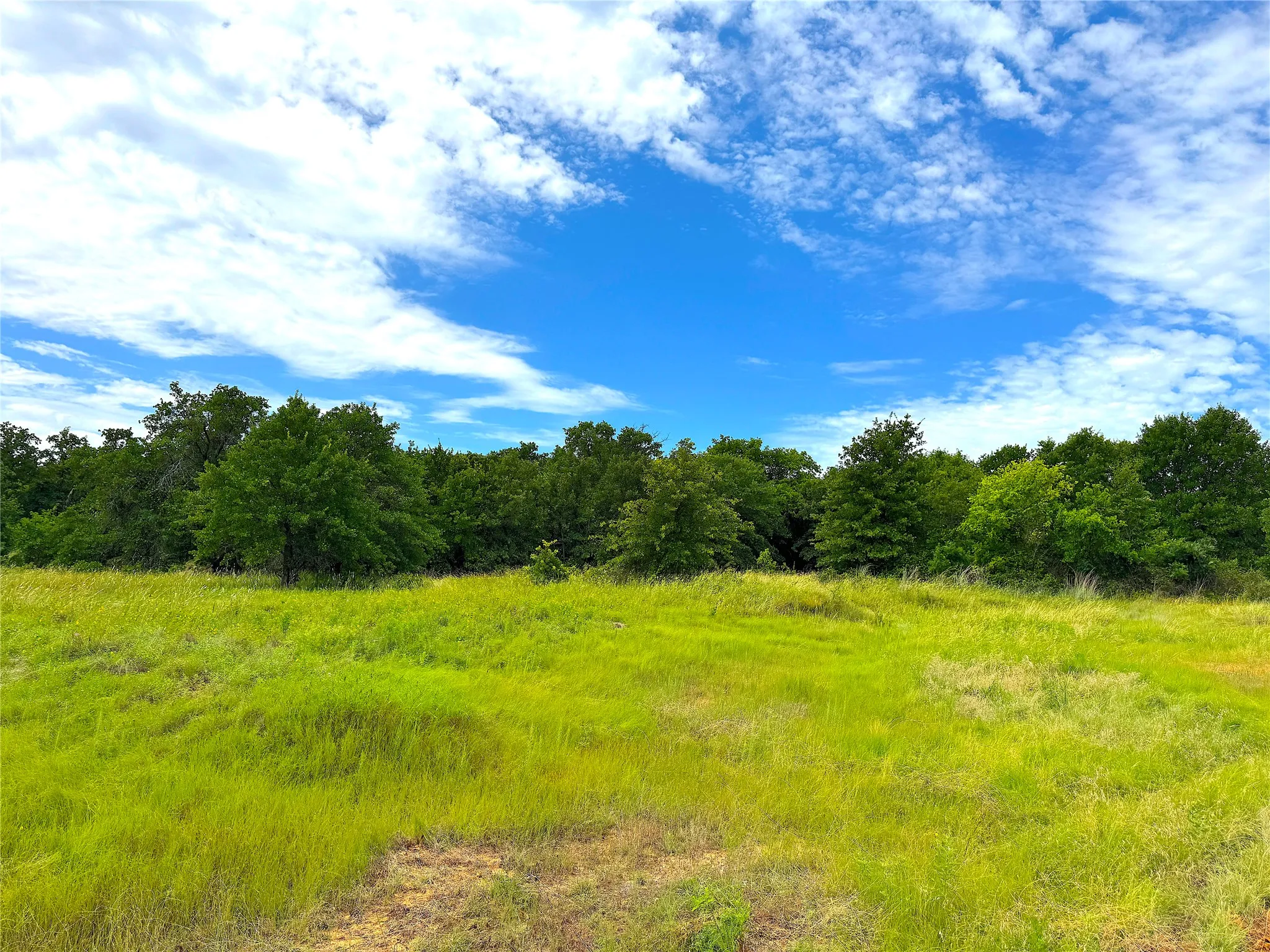 Unimproved Land For Sale in Parker County , TBD C Turpin Lake Road, Poolville, Texas 76487, 0, 0, Garage spaces, 0 Sqft, built in 0, mls#21407599, Real Estate Agent in Poolville, Homes For Sale in Parker county, Homes For Sale in Poolville, Realtor in Poolville Texas, Real Estate Brokerage Independent Realty Texas, Luminita Cordes Realtor