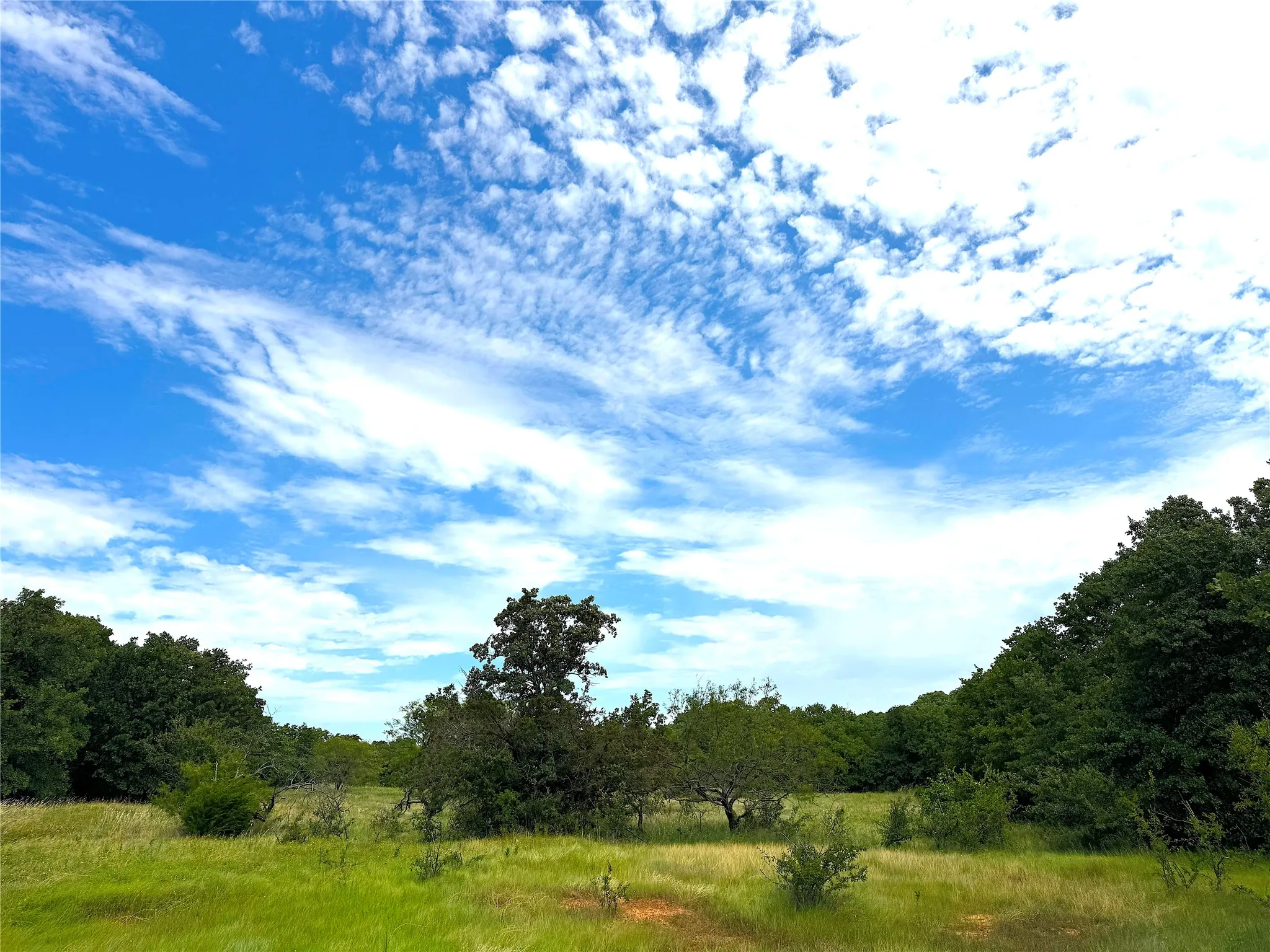 Unimproved Land For Sale in Parker County , TBD C Turpin Lake Road, Poolville, Texas 76487, 0, 0, Garage spaces, 0 Sqft, built in 0, mls#21407599, Real Estate Agent in Poolville, Homes For Sale in Parker county, Homes For Sale in Poolville, Realtor in Poolville Texas, Real Estate Brokerage Independent Realty Texas, Luminita Cordes Realtor