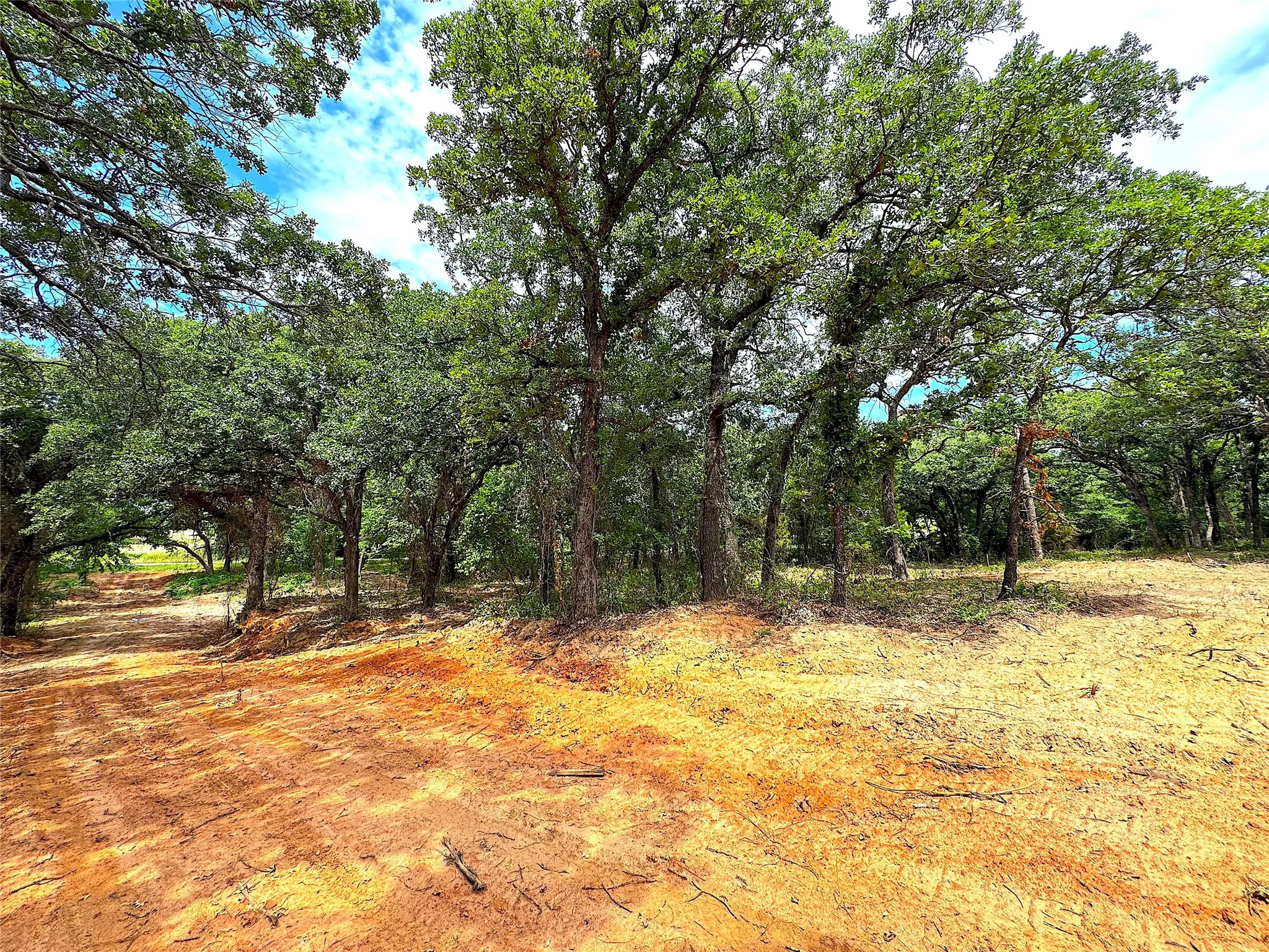 Unimproved Land For Sale in Parker County , TBD C Turpin Lake Road, Poolville, Texas 76487, 0, 0, Garage spaces, 0 Sqft, built in 0, mls#21407599, Real Estate Agent in Poolville, Homes For Sale in Parker county, Homes For Sale in Poolville, Realtor in Poolville Texas, Real Estate Brokerage Independent Realty Texas, Luminita Cordes Realtor