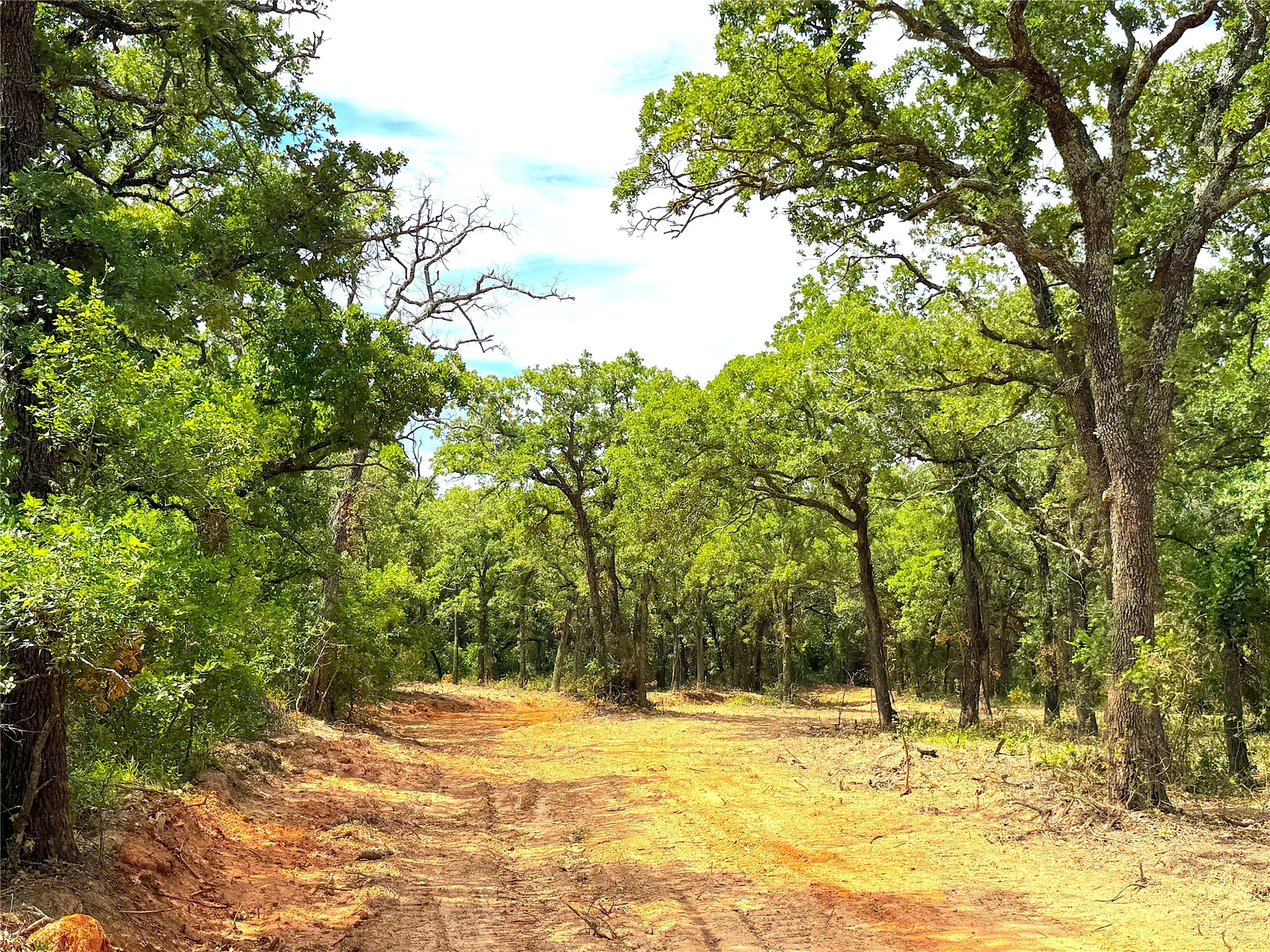 Unimproved Land For Sale in Parker County , TBD C Turpin Lake Road, Poolville, Texas 76487, 0, 0, Garage spaces, 0 Sqft, built in 0, mls#21407599, Real Estate Agent in Poolville, Homes For Sale in Parker county, Homes For Sale in Poolville, Realtor in Poolville Texas, Real Estate Brokerage Independent Realty Texas, Luminita Cordes Realtor
