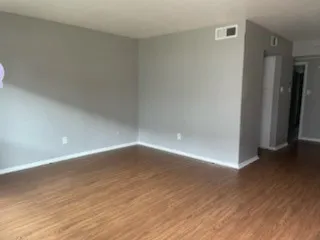 Wood-finish flooring with white trim, light gray painted walls, and white ceilings